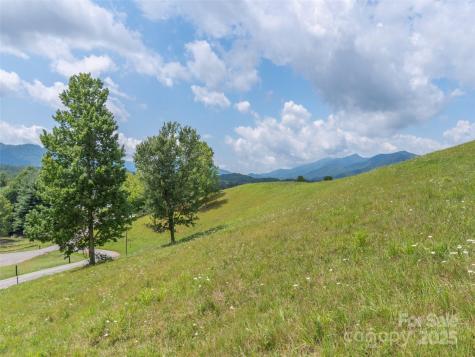 00 Bark Trail Waynesville NC 28786