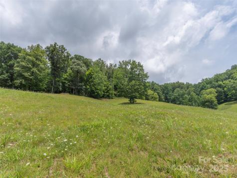 00 Bark Trail Waynesville NC 28786