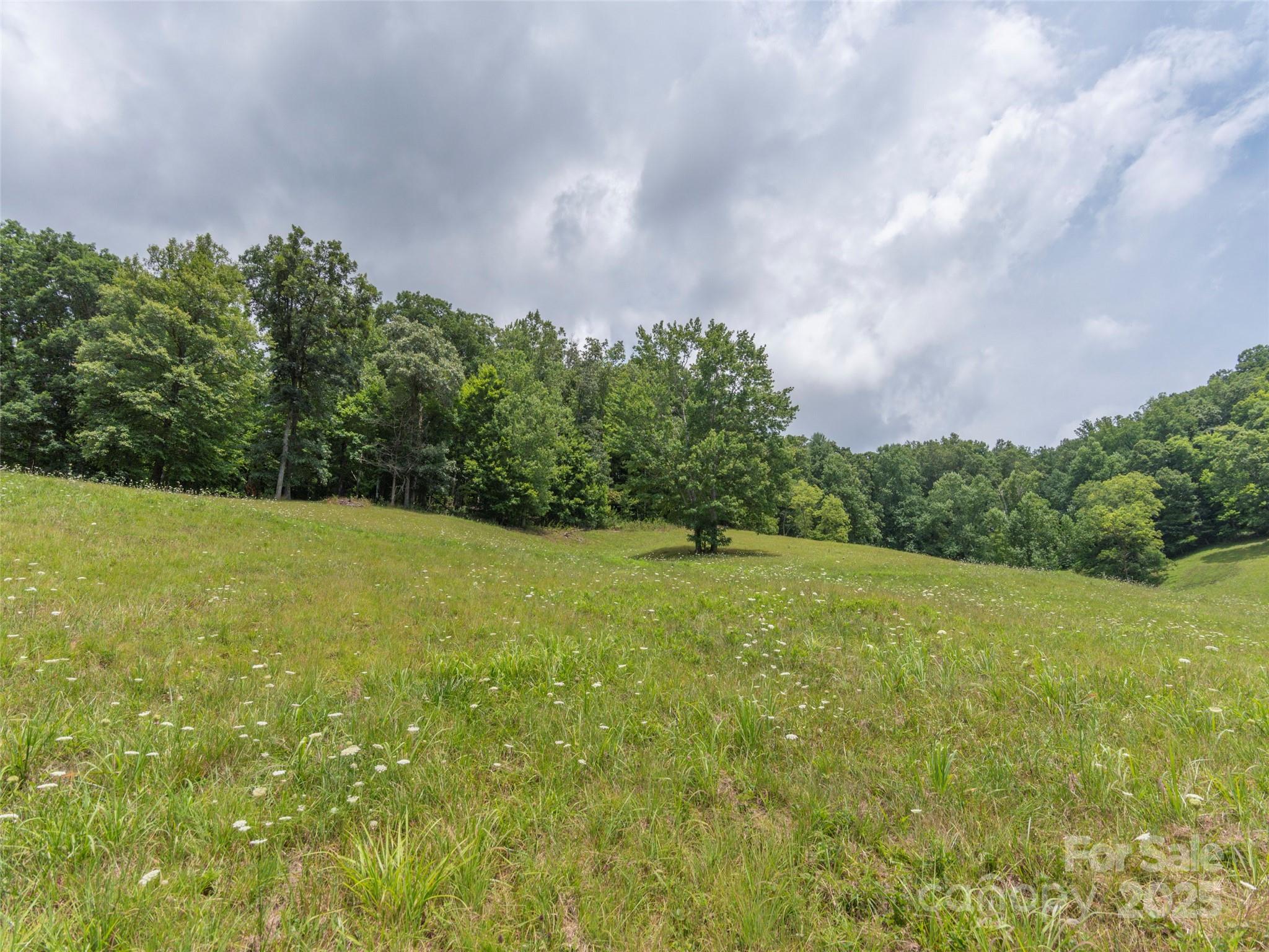 00 Bark Trail Waynesville NC 28786