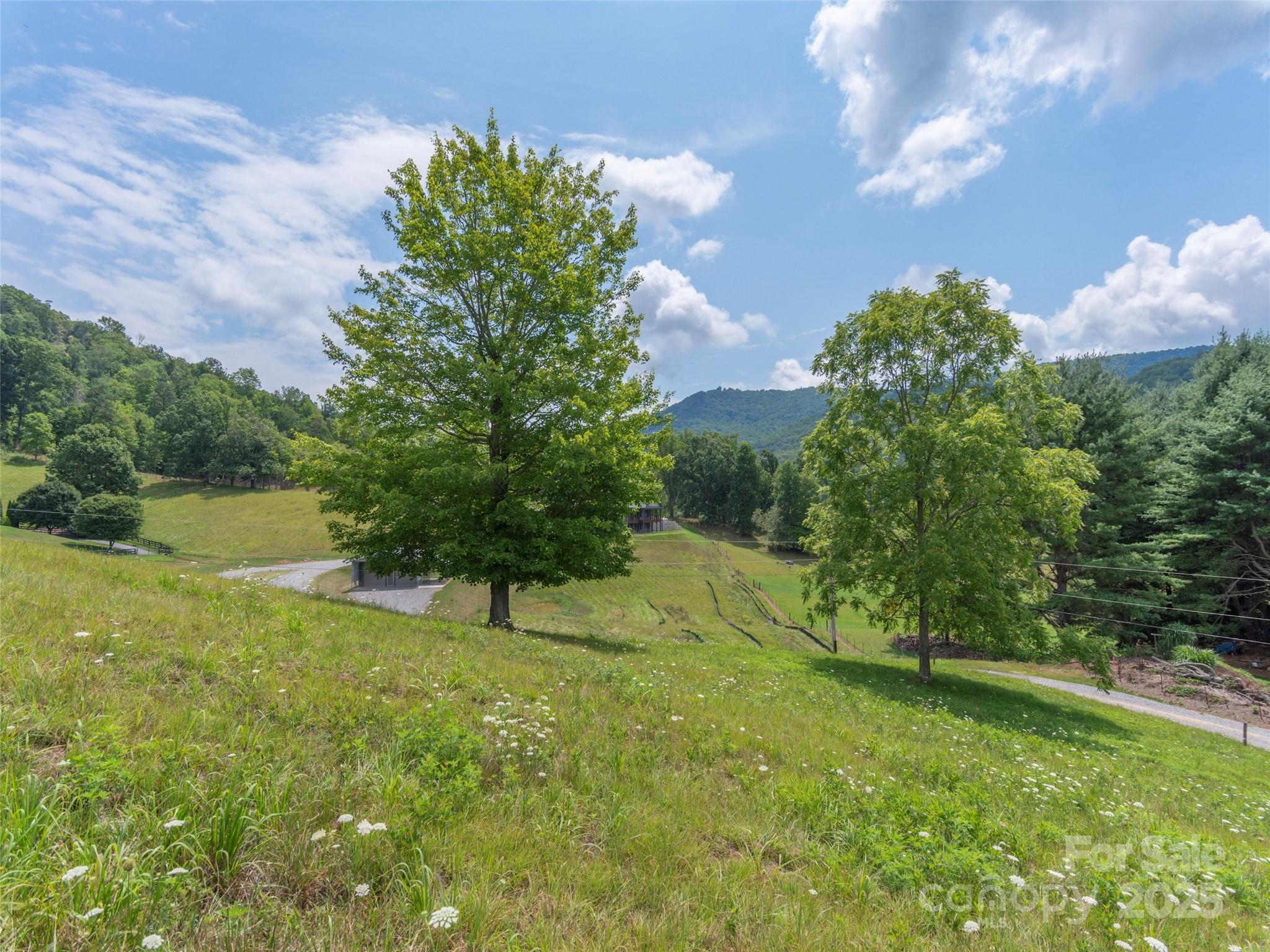 00 Bark Trail Waynesville NC 28786