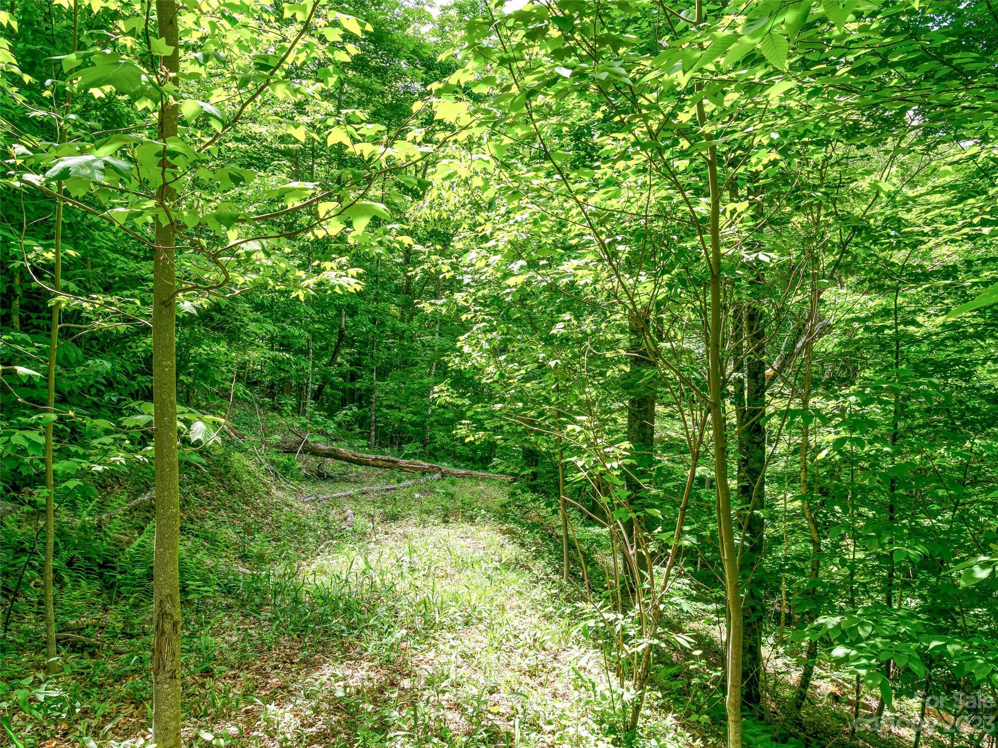 Lot 9 Mountain Gait Drive Mars Hill NC 28754