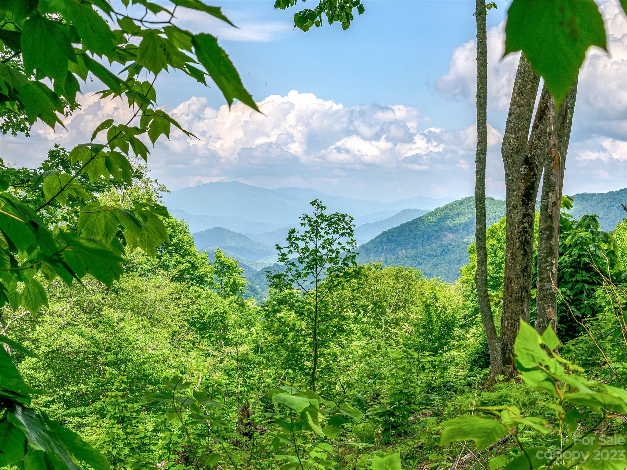 Lot 9 Mountain Gait Drive Mars Hill NC 28754