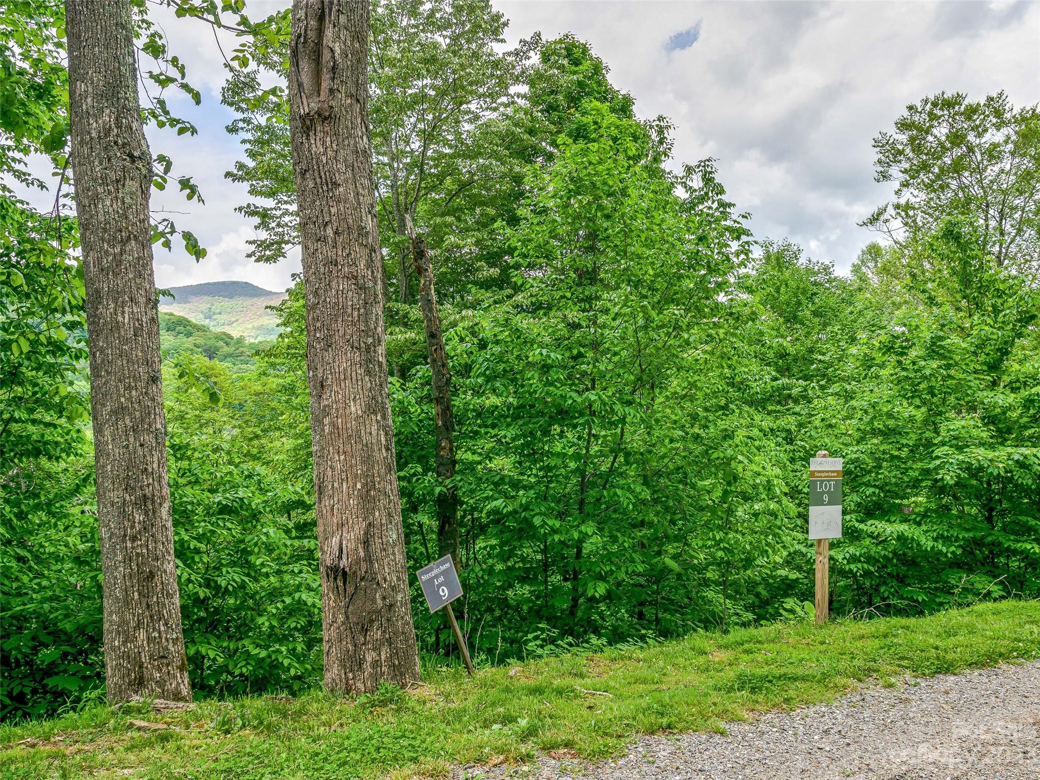 Lot 9 Mountain Gait Drive Mars Hill NC 28754