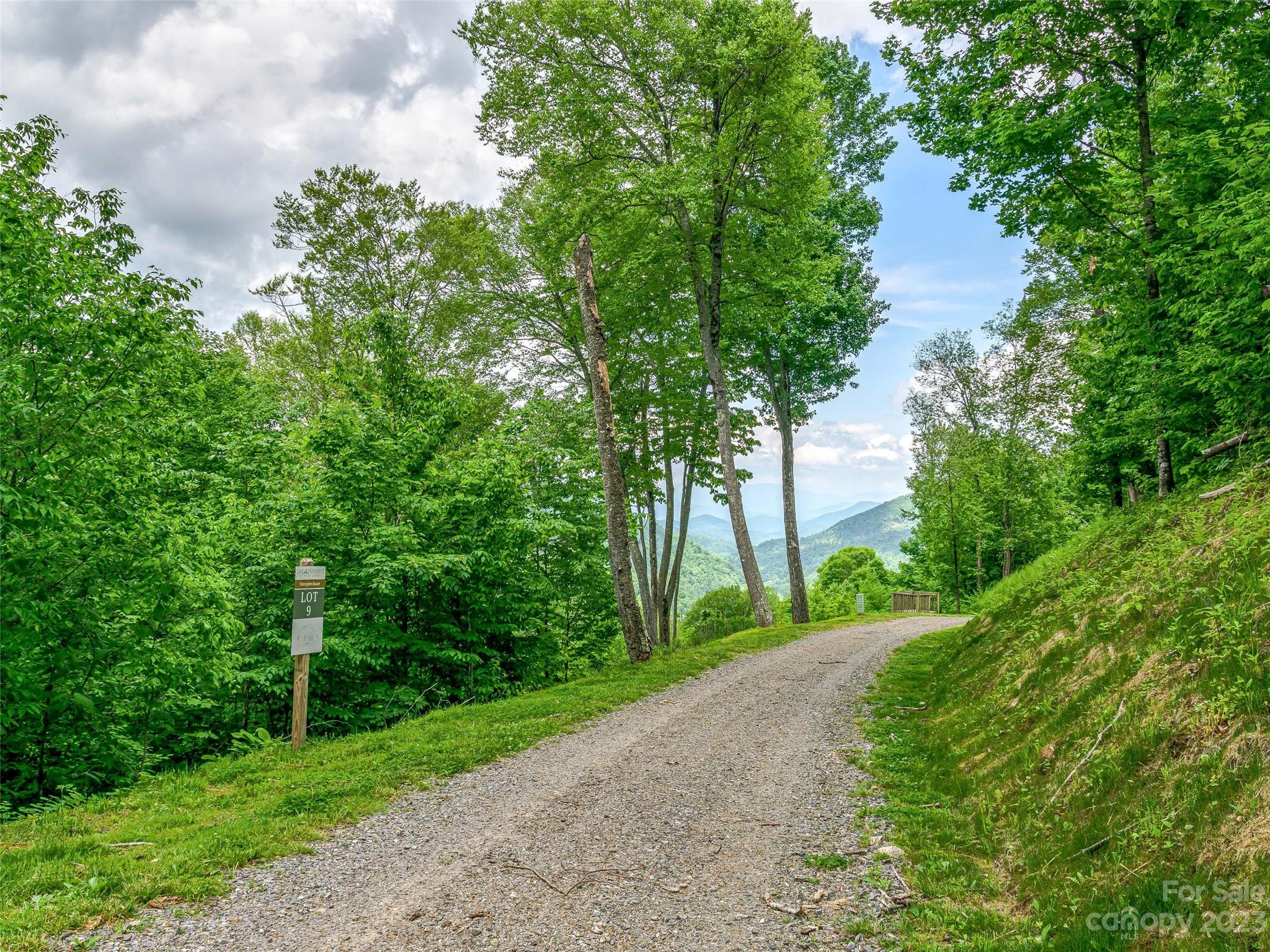 Lot 9 Mountain Gait Drive Mars Hill NC 28754