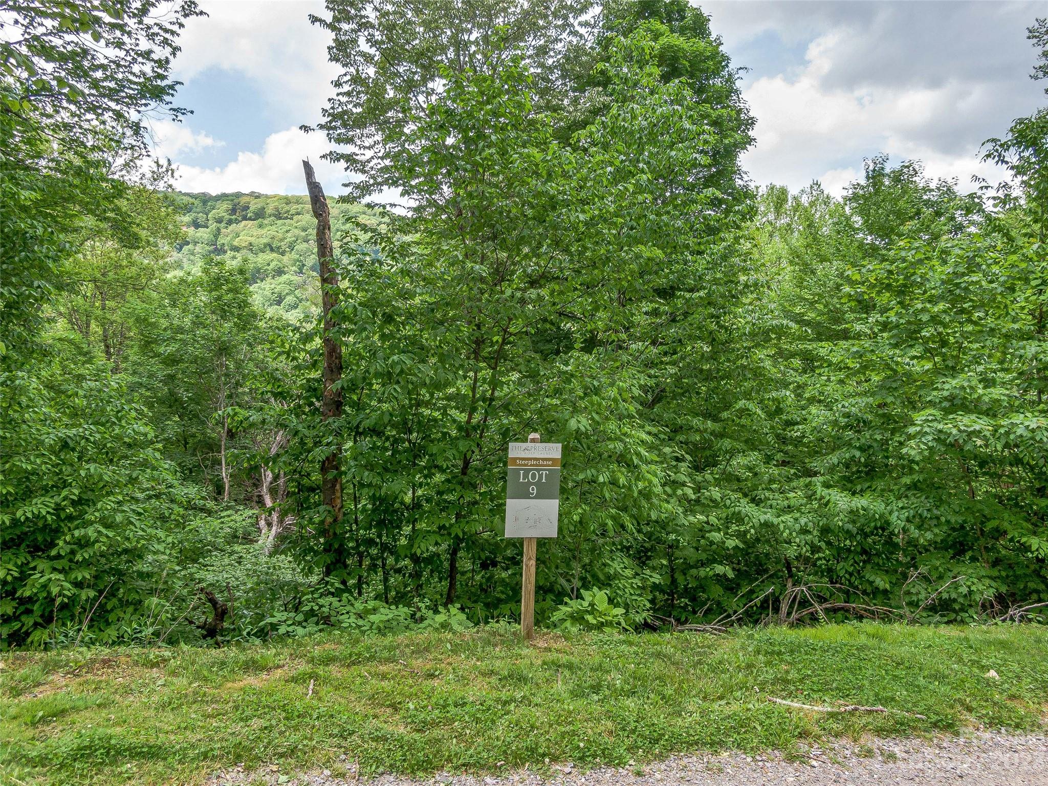 Lot 9 Mountain Gait Drive Mars Hill NC 28754
