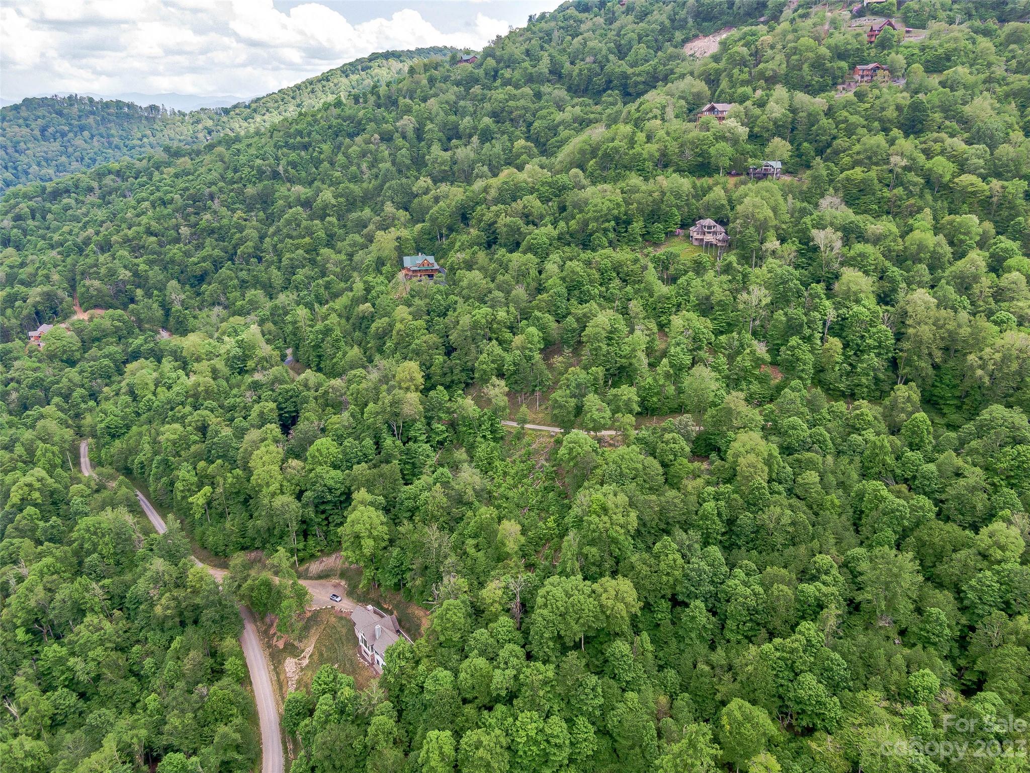 Lot 9 Mountain Gait Drive Mars Hill NC 28754