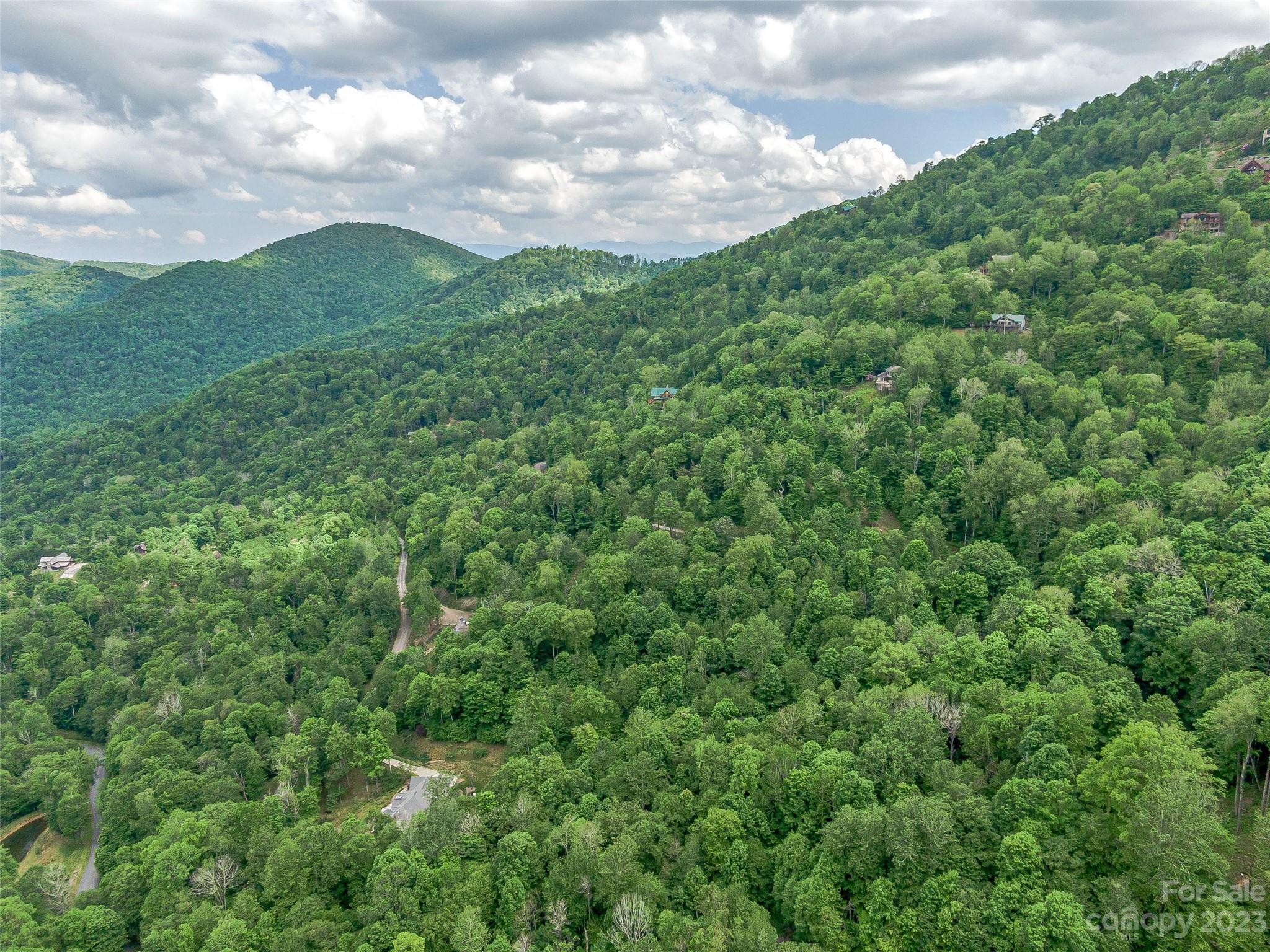 Lot 9 Mountain Gait Drive Mars Hill NC 28754