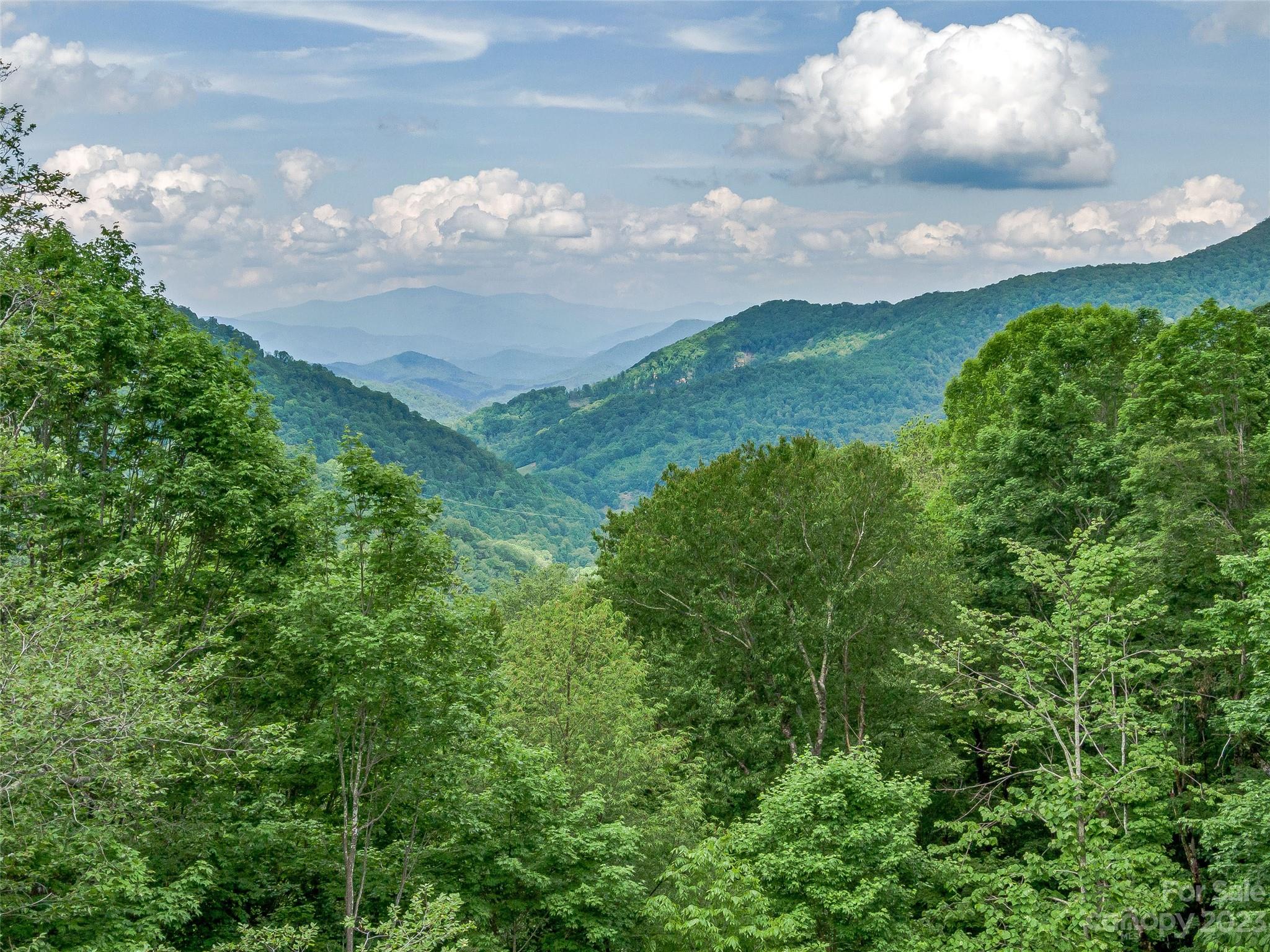 Lot 9 Mountain Gait Drive Mars Hill NC 28754