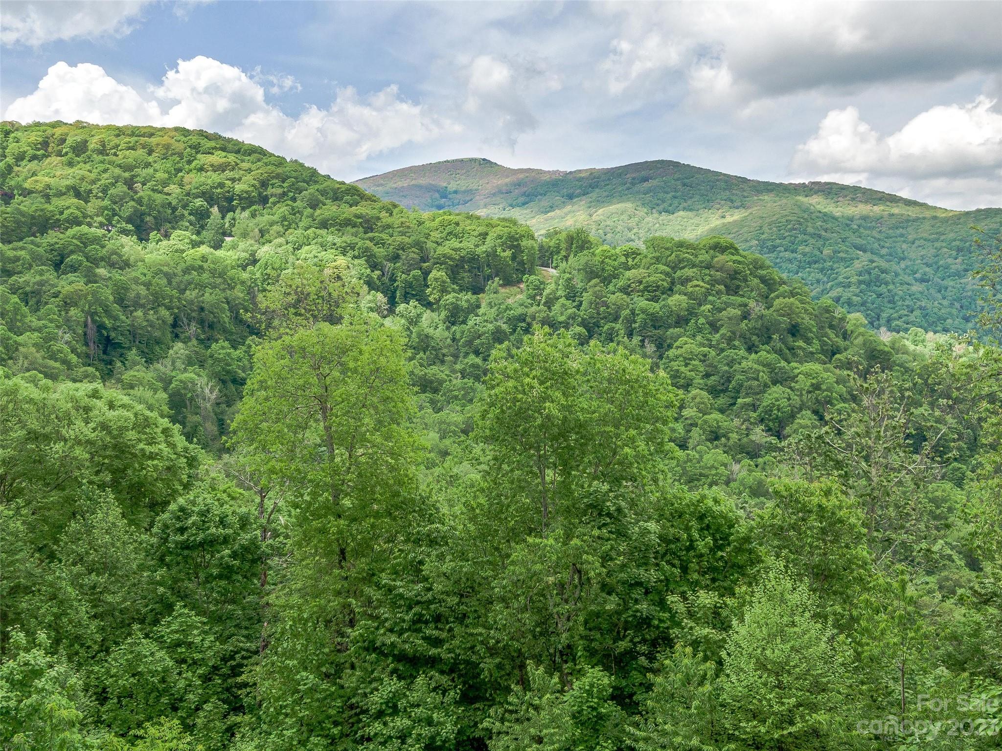 Lot 9 Mountain Gait Drive Mars Hill NC 28754