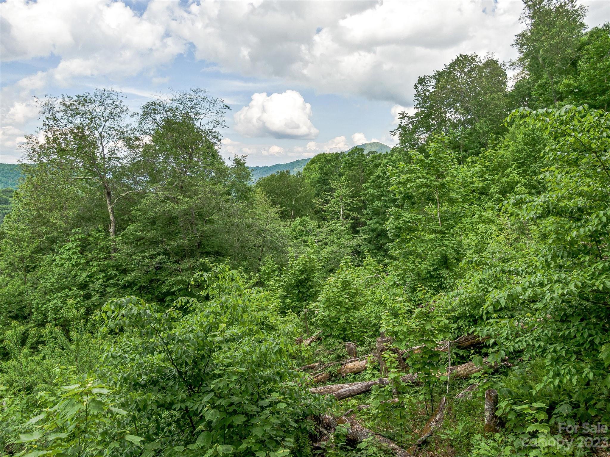 Lot 9 Mountain Gait Drive Mars Hill NC 28754