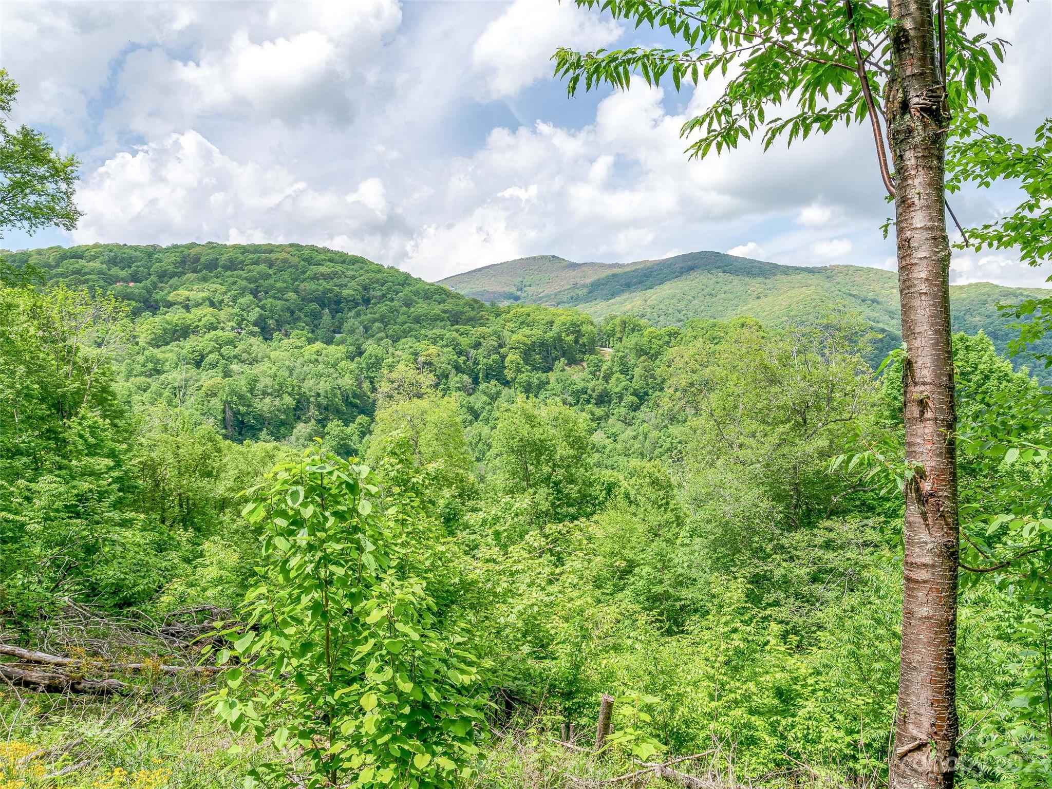 Lot 9 Mountain Gait Drive Mars Hill NC 28754
