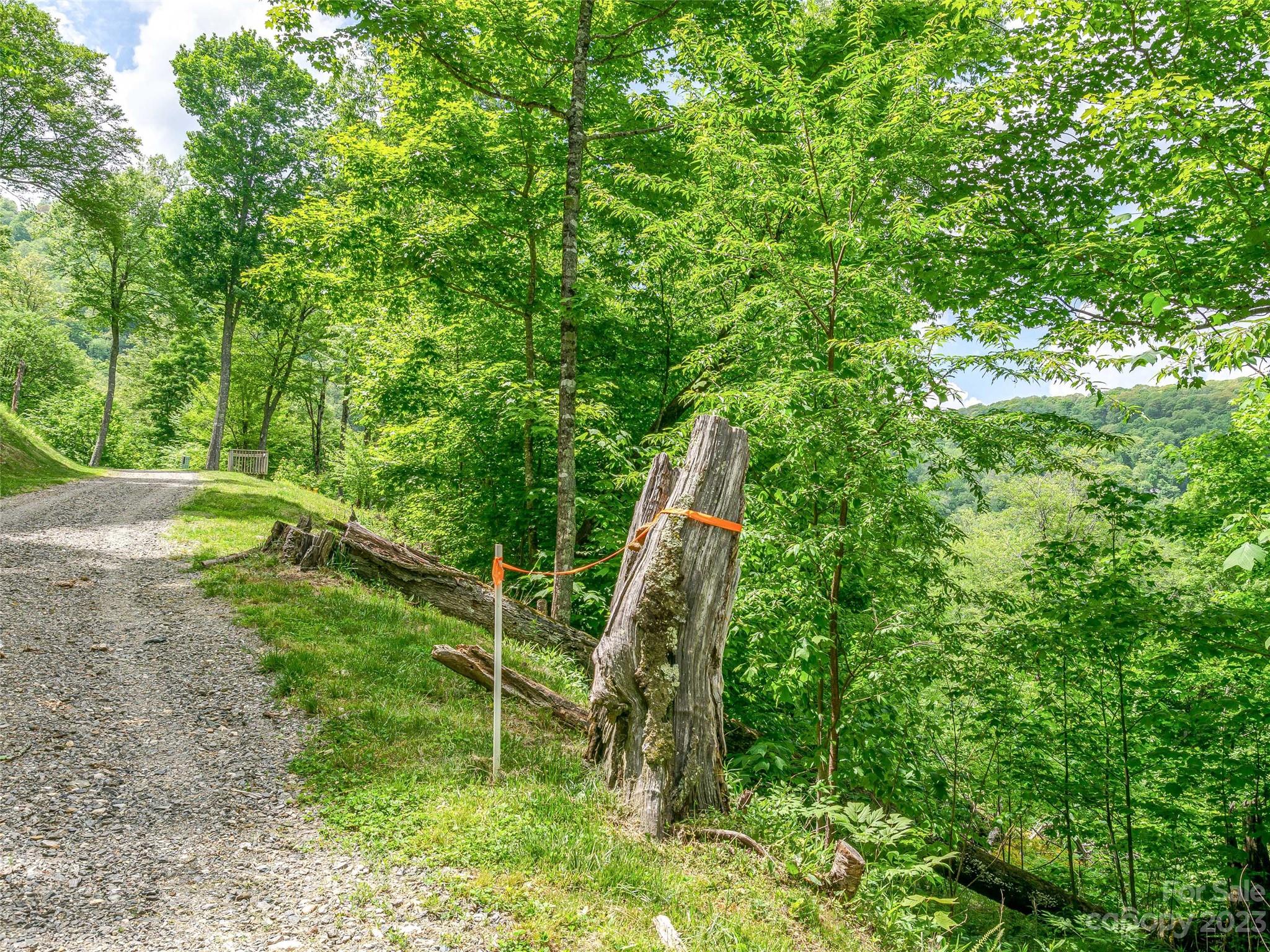Lot 9 Mountain Gait Drive Mars Hill NC 28754