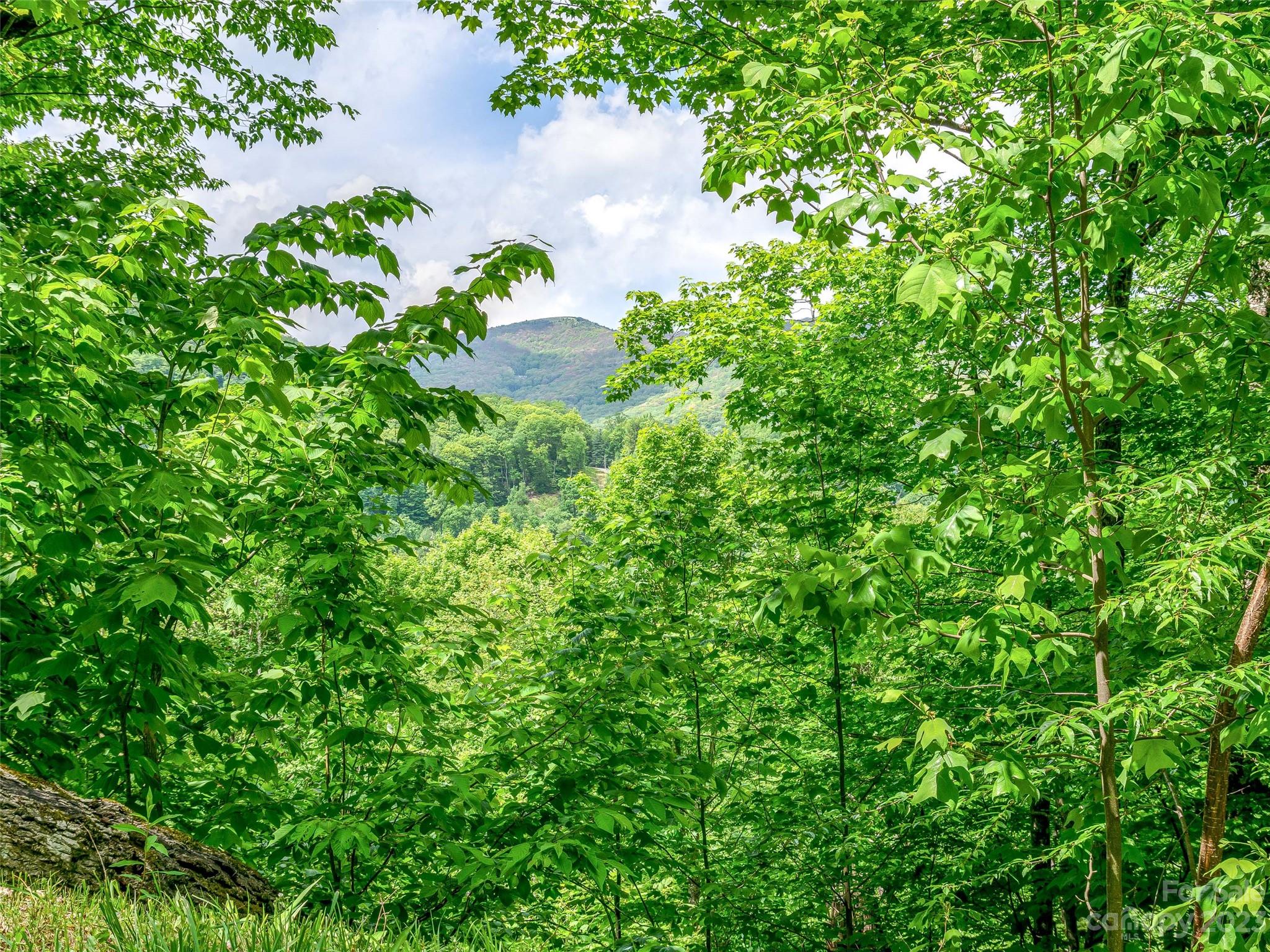 Lot 9 Mountain Gait Drive Mars Hill NC 28754