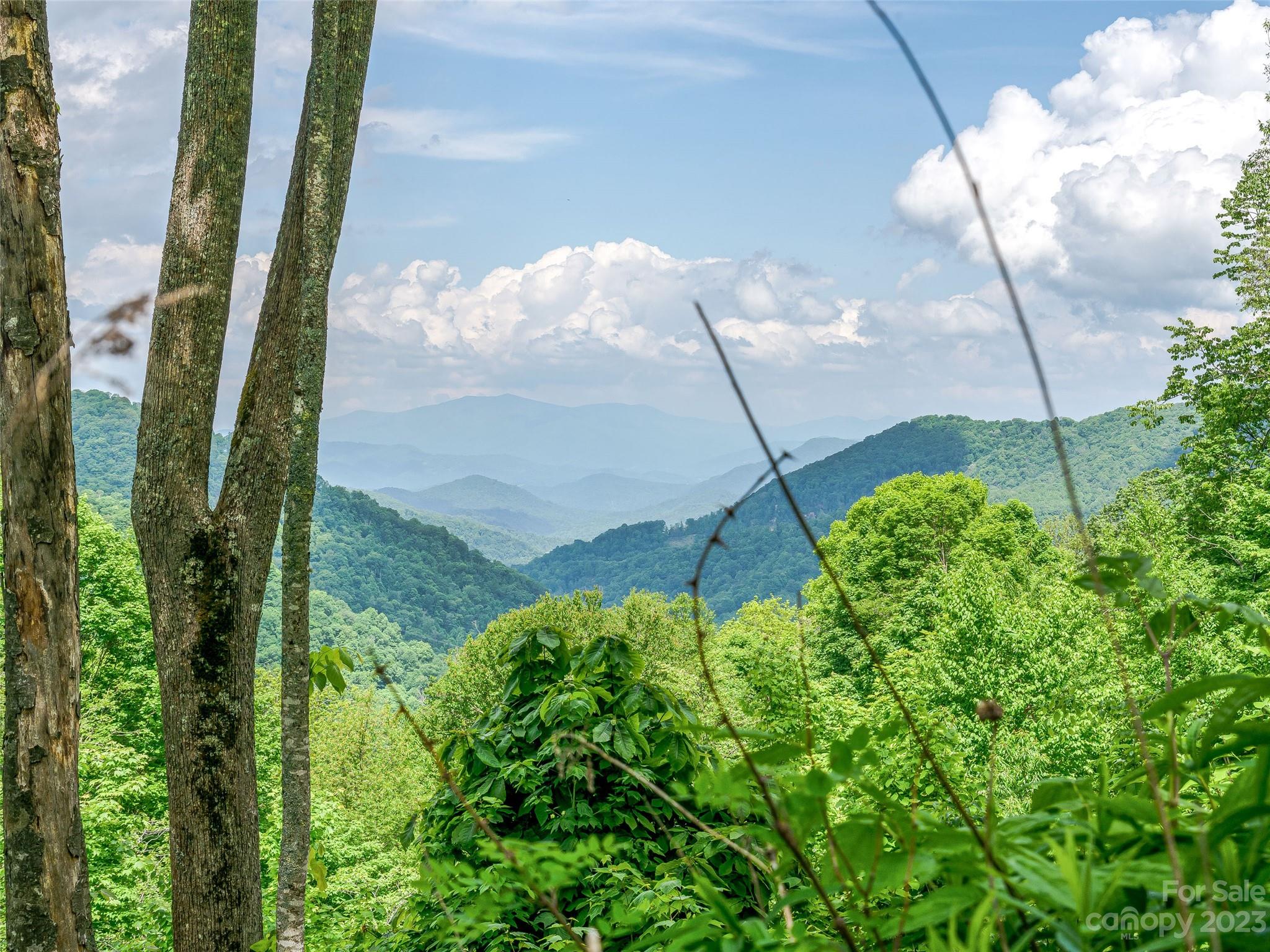 Lot 9 Mountain Gait Drive Mars Hill NC 28754