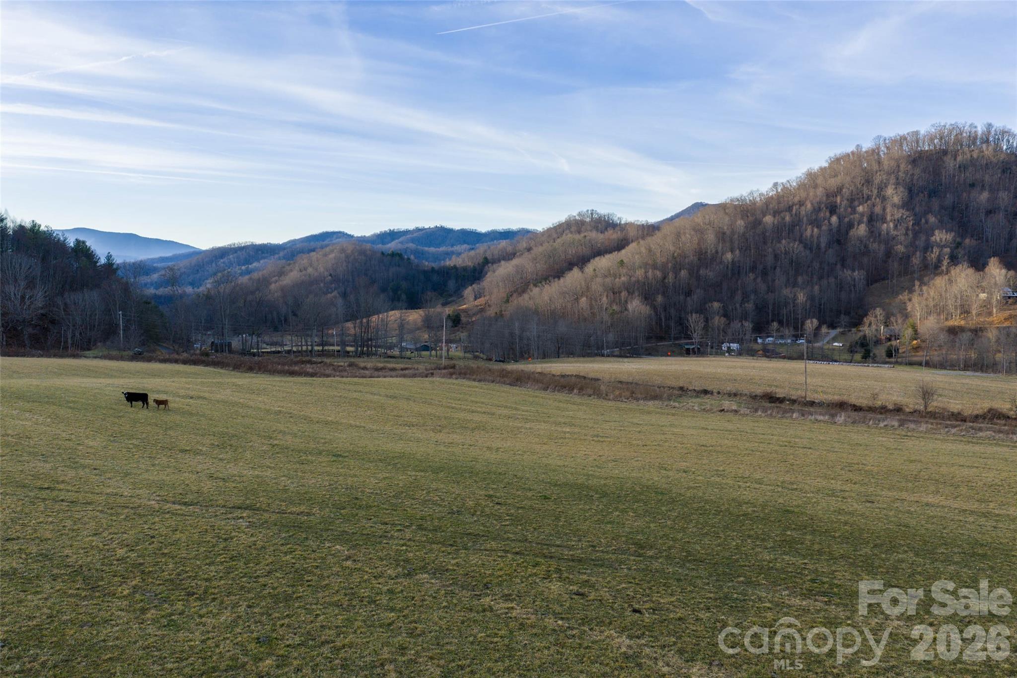 00 Poplar Cove Road Clyde NC 28721