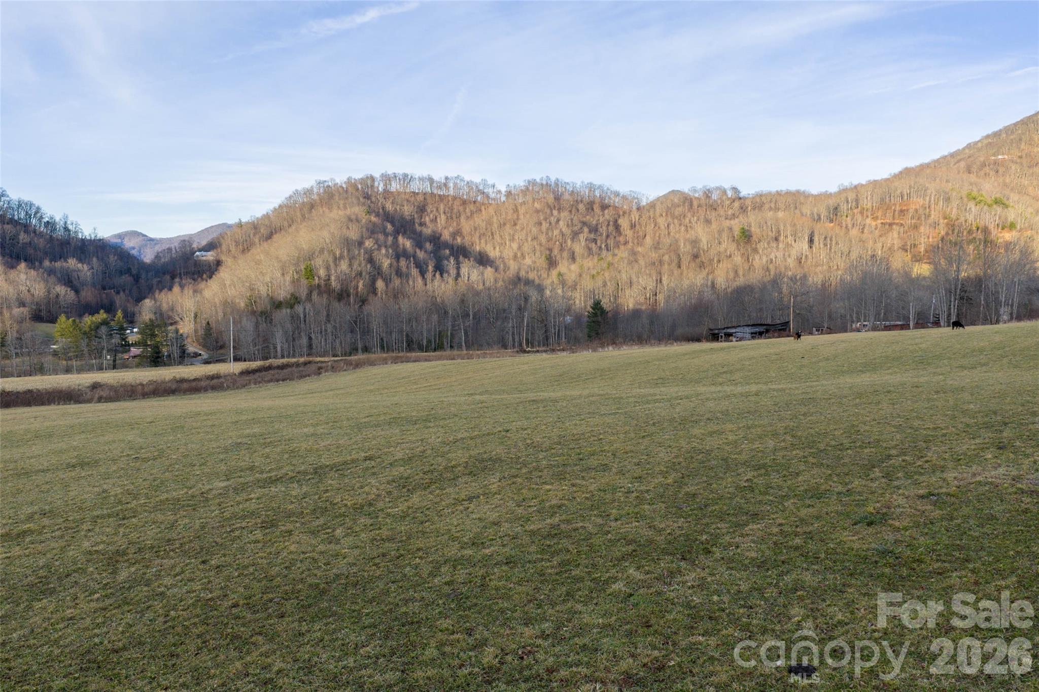00 Poplar Cove Road Clyde NC 28721