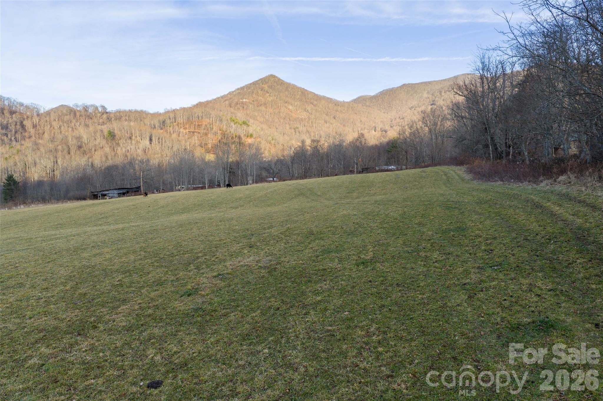 00 Poplar Cove Road Clyde NC 28721