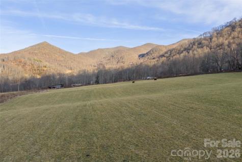 00 Poplar Cove Road Clyde NC 28721