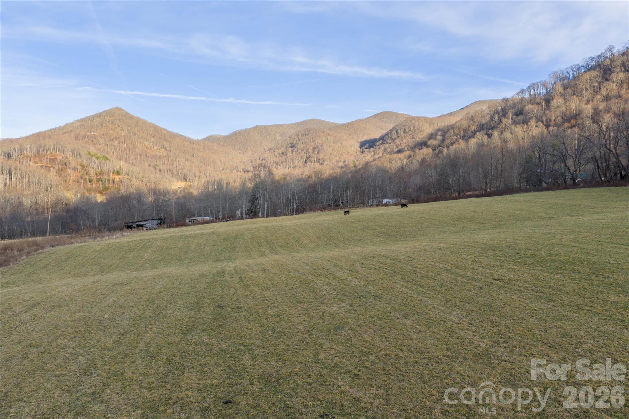 00 Poplar Cove Road Clyde NC 28721