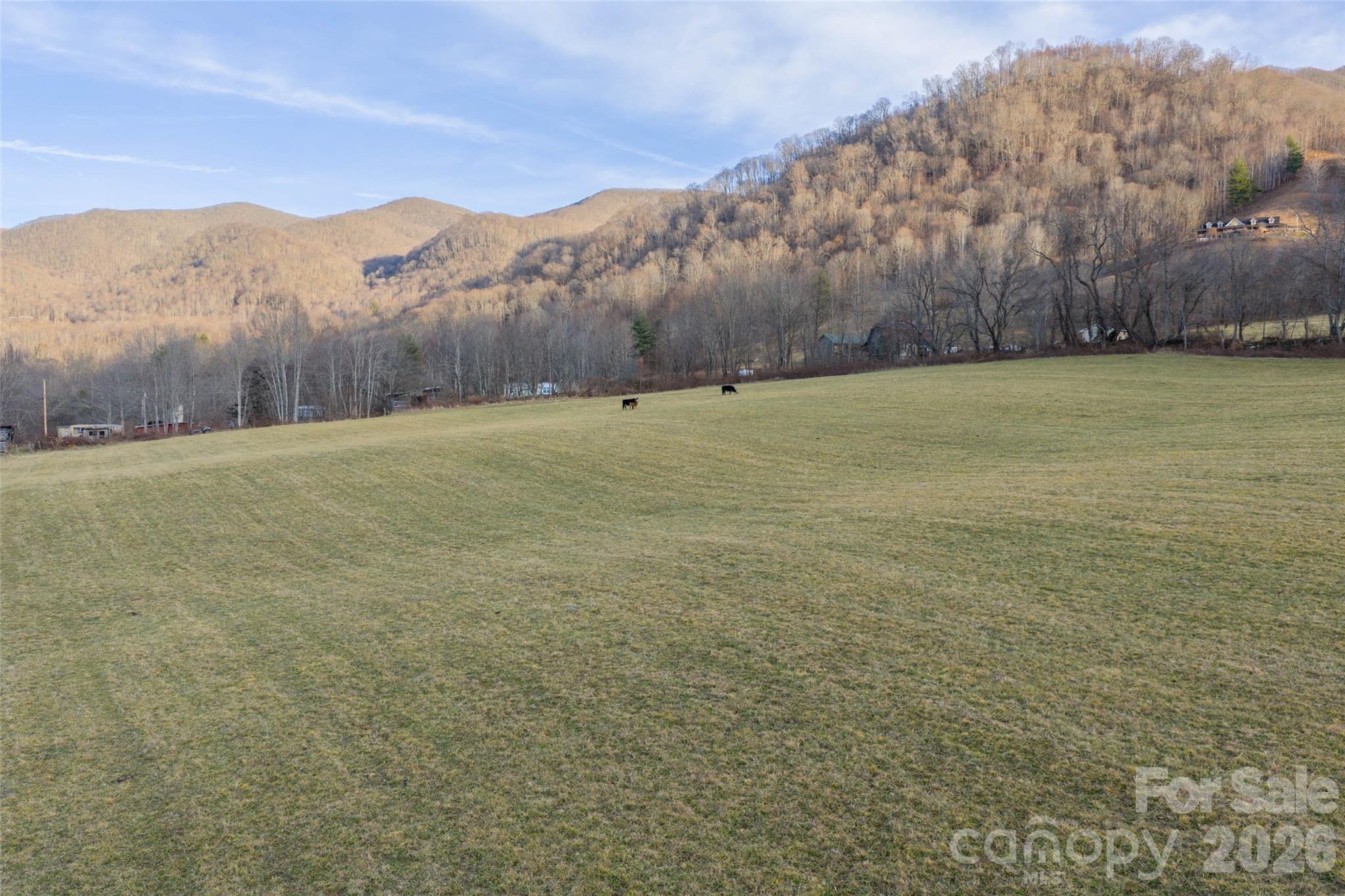 00 Poplar Cove Road Clyde NC 28721