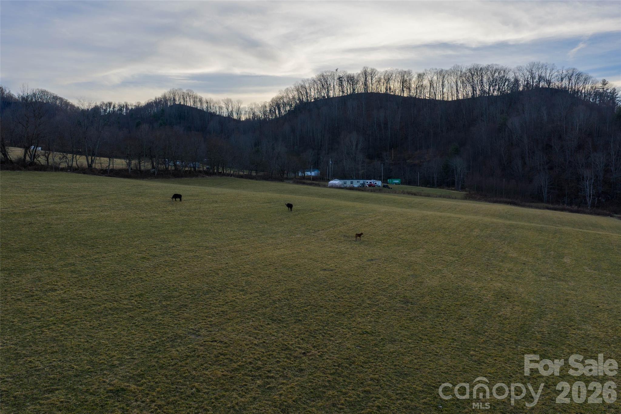 00 Poplar Cove Road Clyde NC 28721