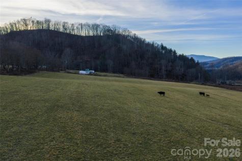 00 Poplar Cove Road Clyde NC 28721