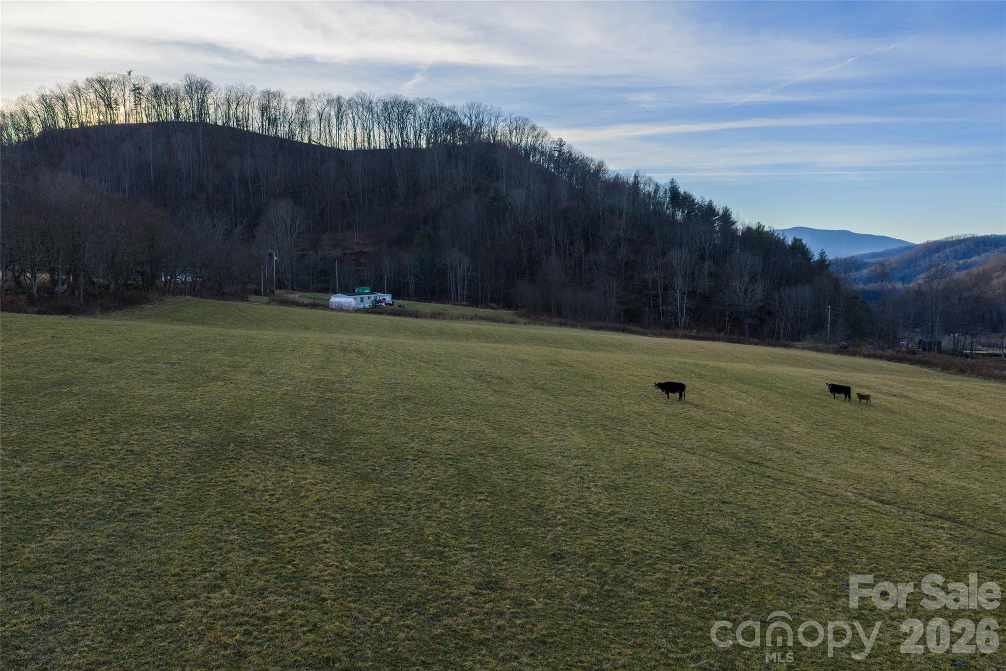 00 Poplar Cove Road Clyde NC 28721