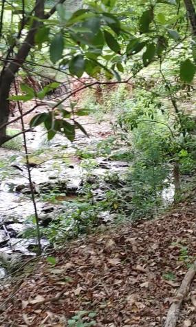 5610 Creeks Edge Lane Granite Falls NC 28630