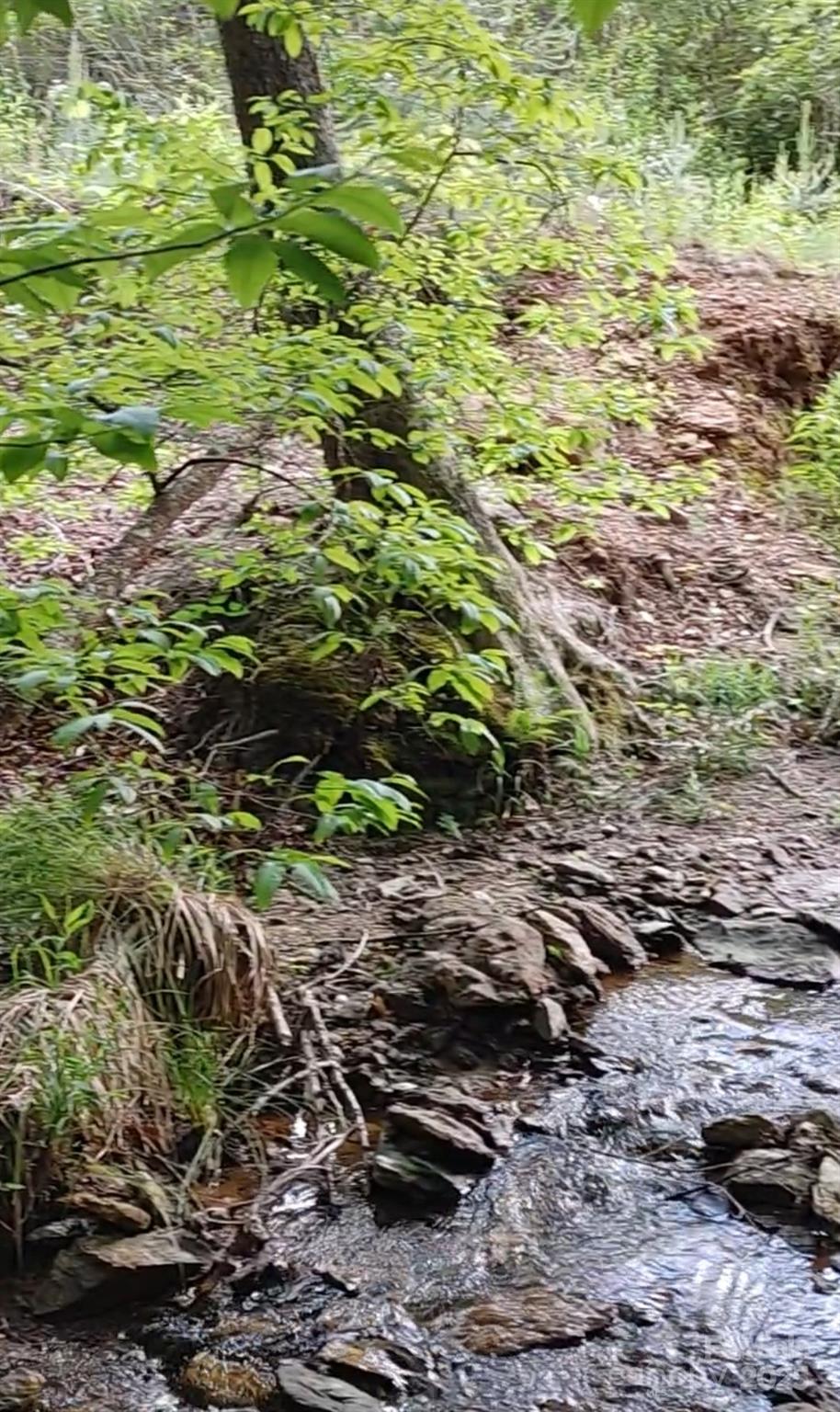 5610 Creeks Edge Lane Granite Falls NC 28630