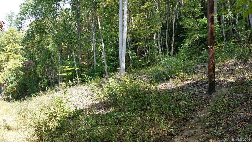 135 Black Gum Drive Asheville NC 28805