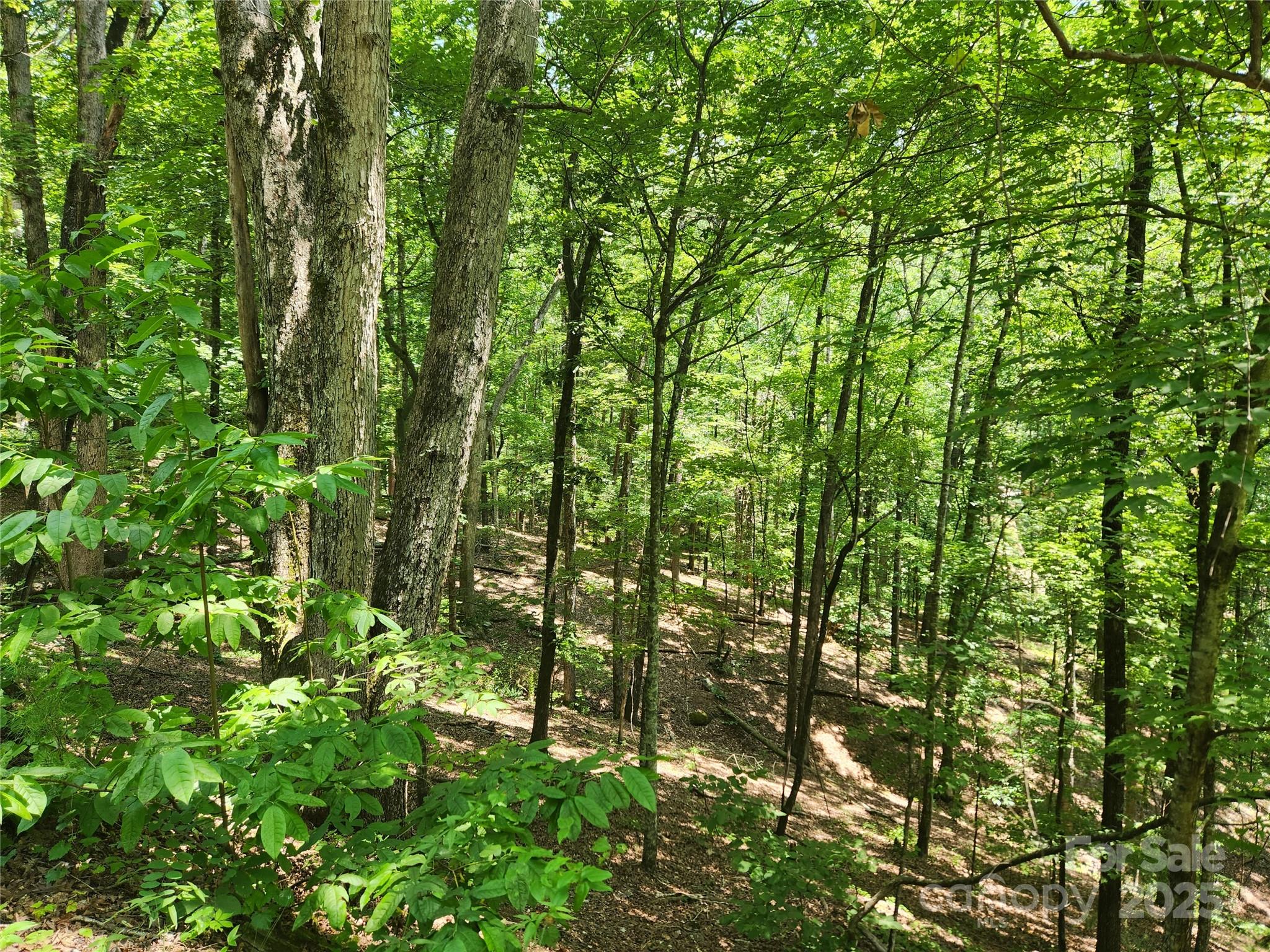 Lot 81, 82, & 88 Walnut Lane Lake Lure NC 28746