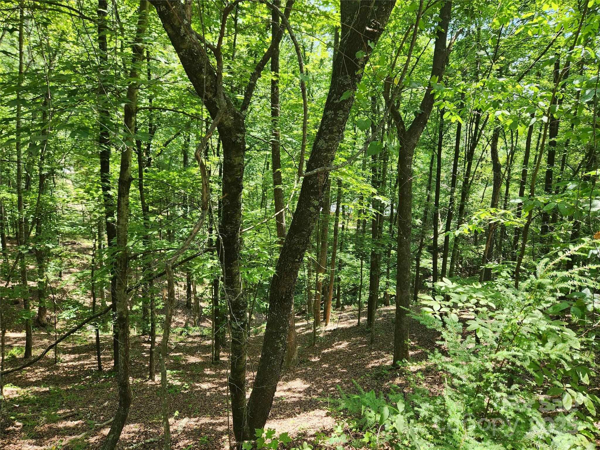 Lot 81, 82, & 88 Walnut Lane Lake Lure NC 28746