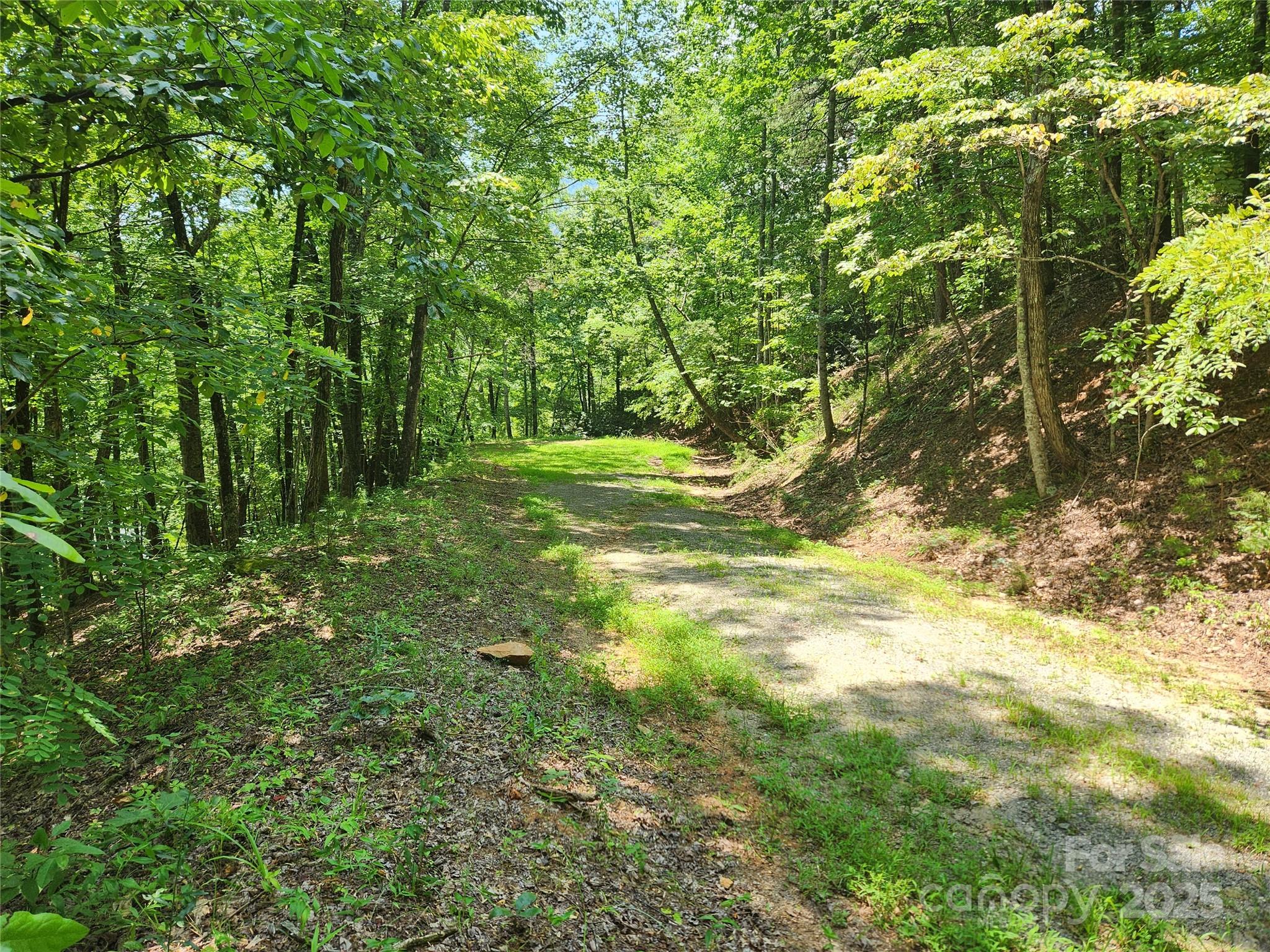 Lot 81, 82, & 88 Walnut Lane Lake Lure NC 28746