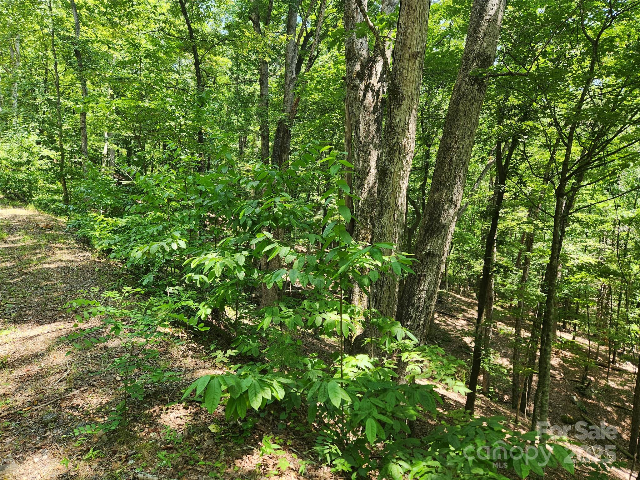 Lot 81, 82, & 88 Walnut Lane Lake Lure NC 28746