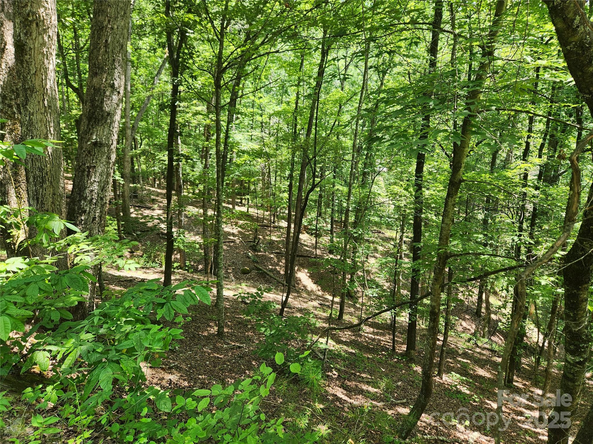 Lot 81, 82, & 88 Walnut Lane Lake Lure NC 28746