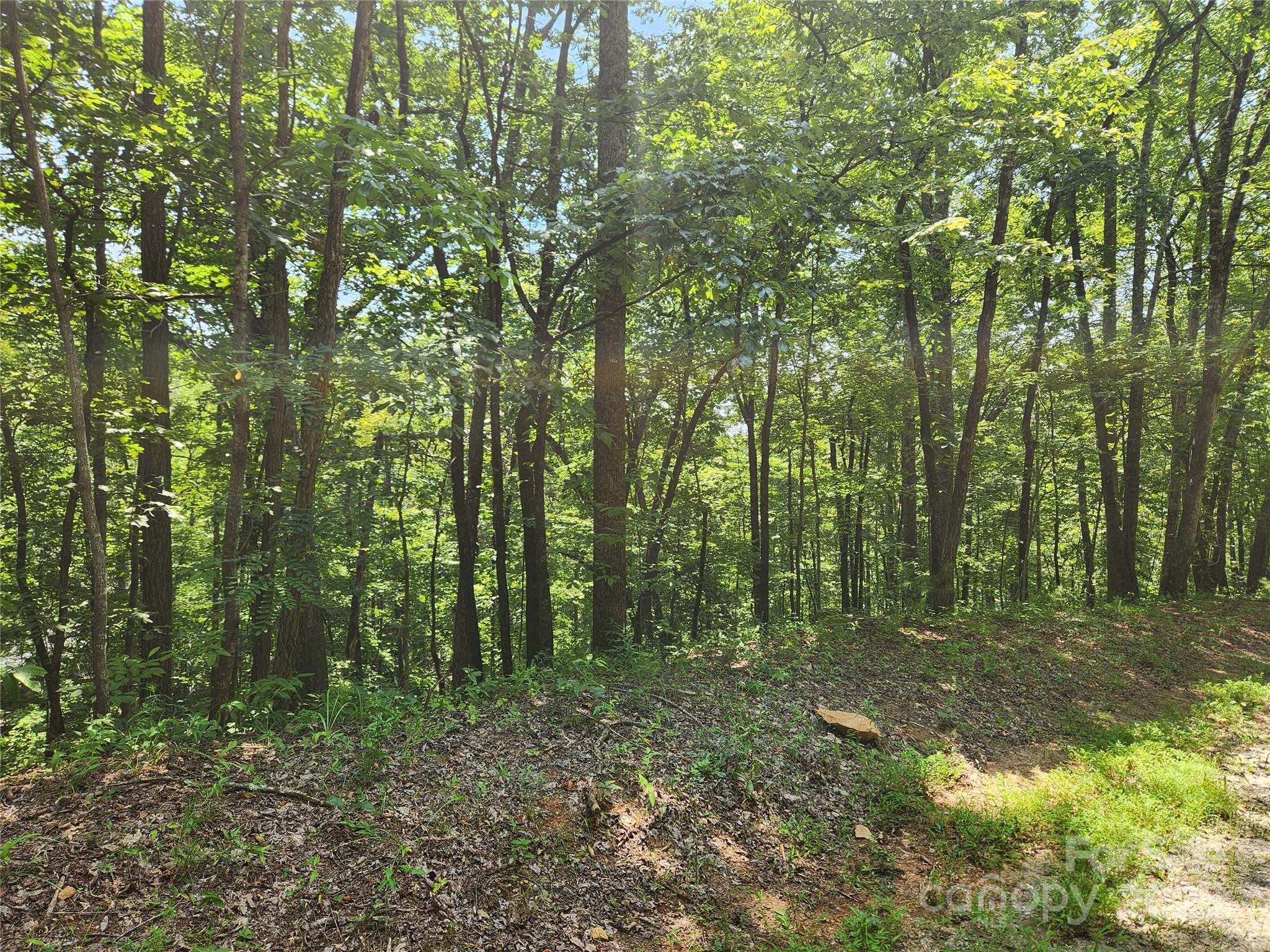 Lot 81, 82, & 88 Walnut Lane Lake Lure NC 28746