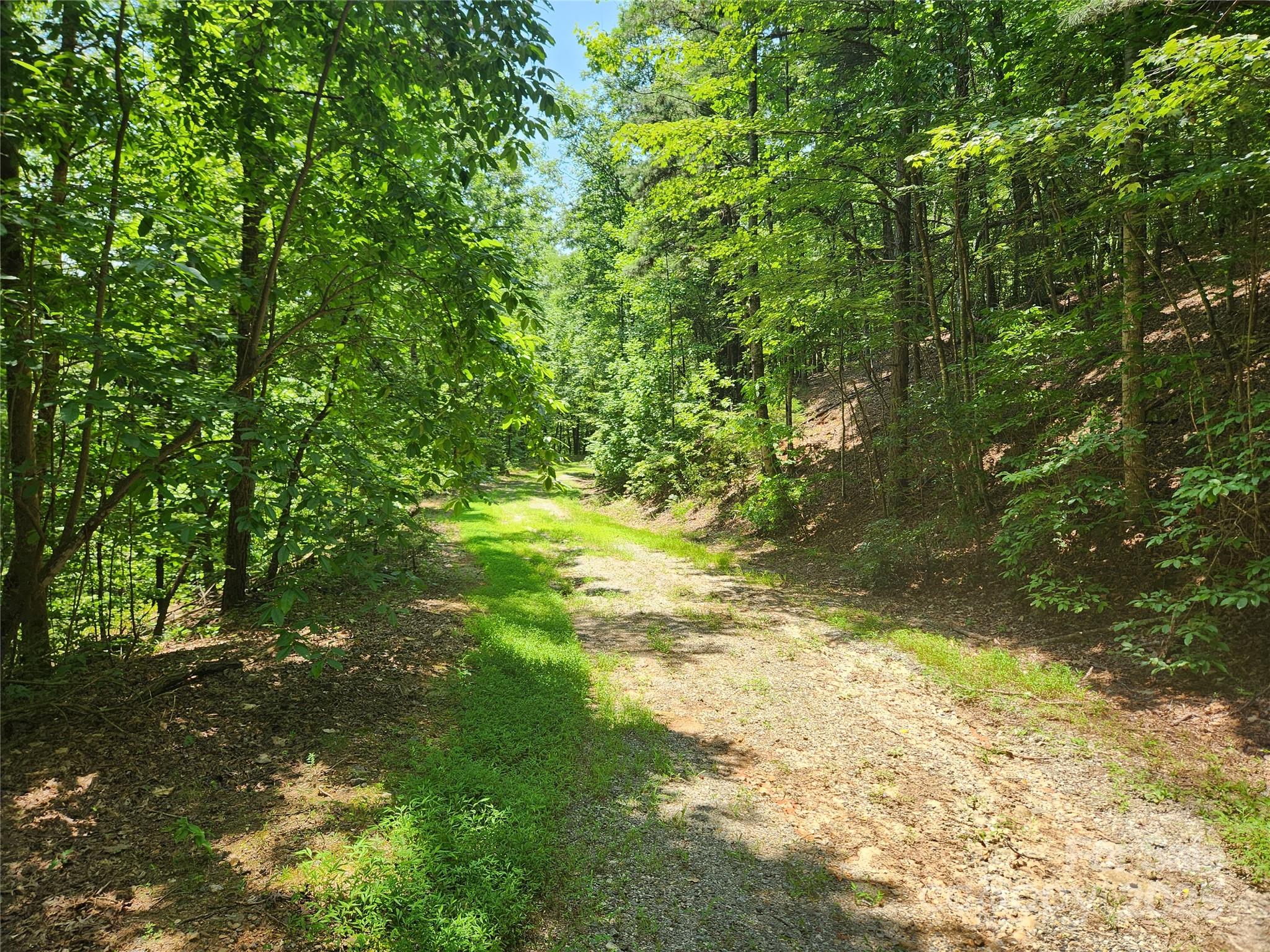 Lot 81, 82, & 88 Walnut Lane Lake Lure NC 28746