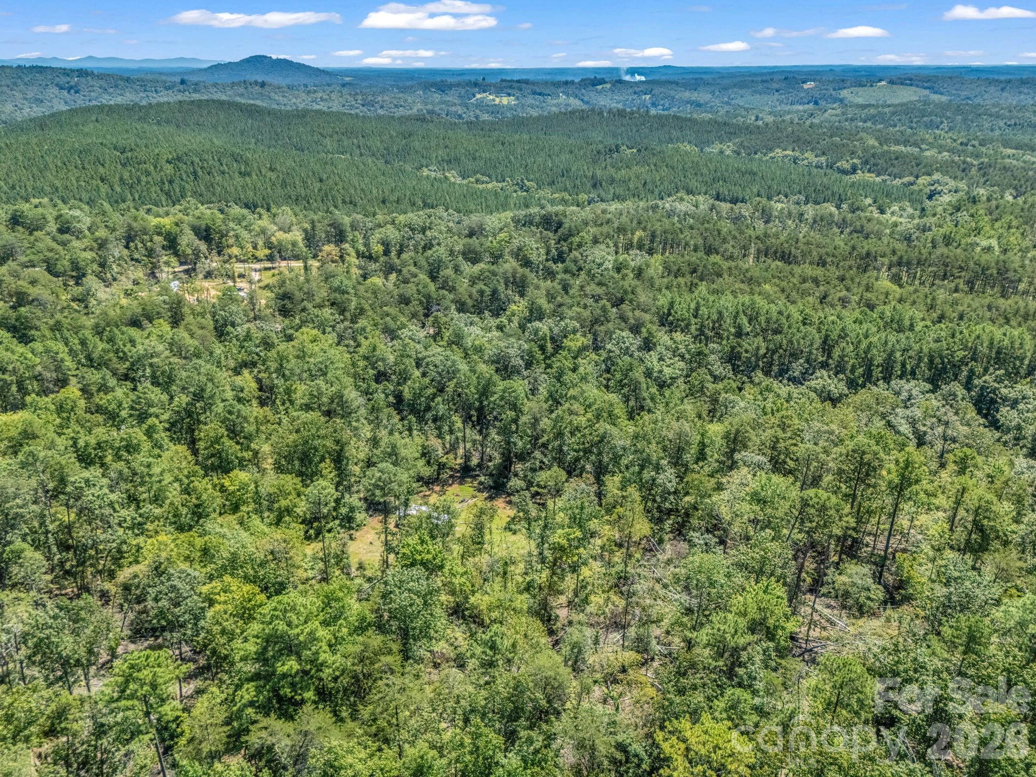 231 Wandering Bear Way Lake Lure NC 28746