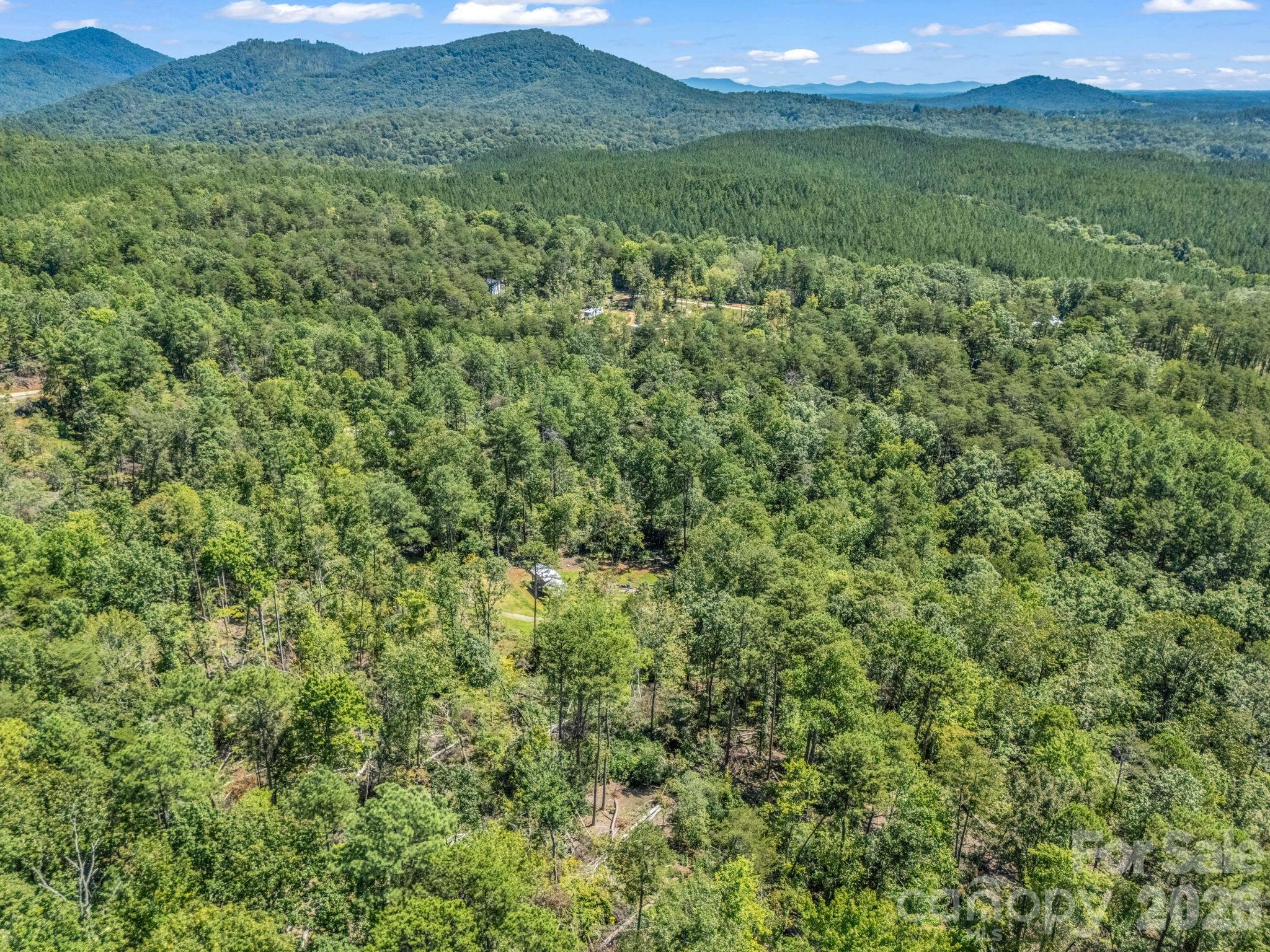 231 Wandering Bear Way Lake Lure NC 28746