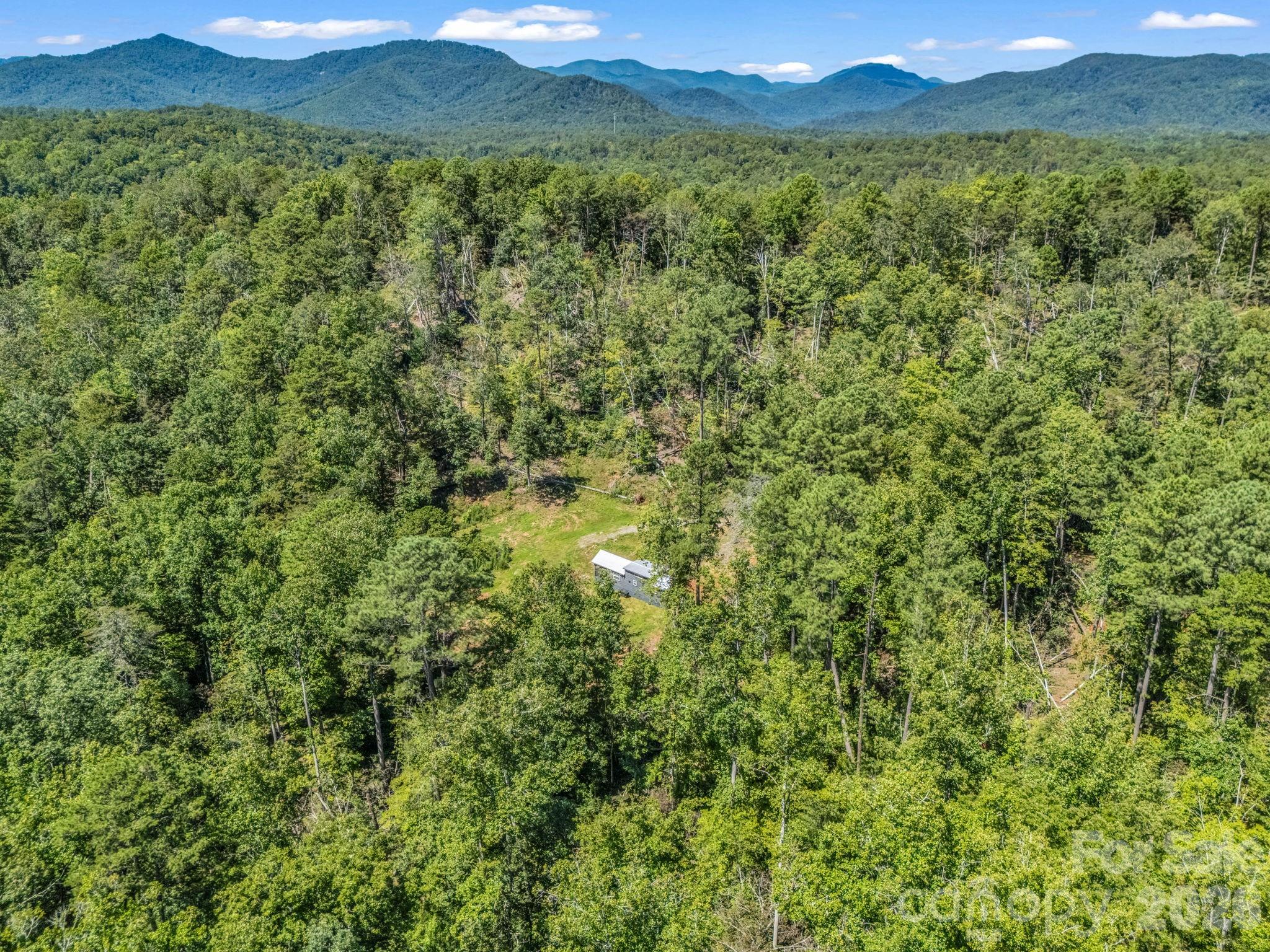 231 Wandering Bear Way Lake Lure NC 28746