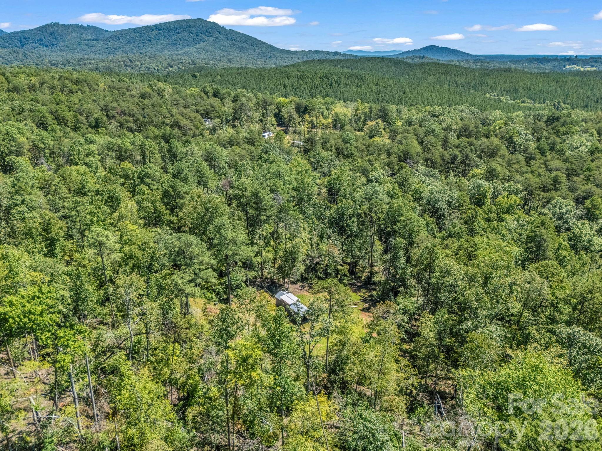 231 Wandering Bear Way Lake Lure NC 28746