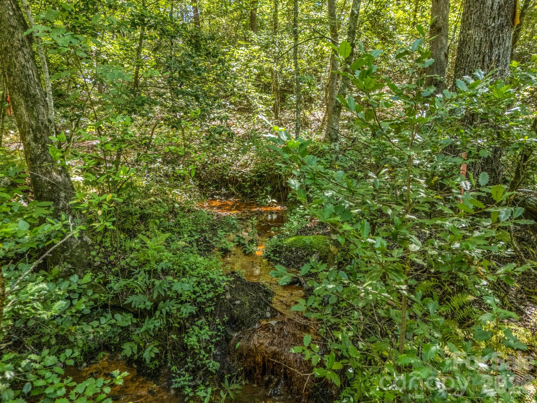 231 Wandering Bear Way Lake Lure NC 28746