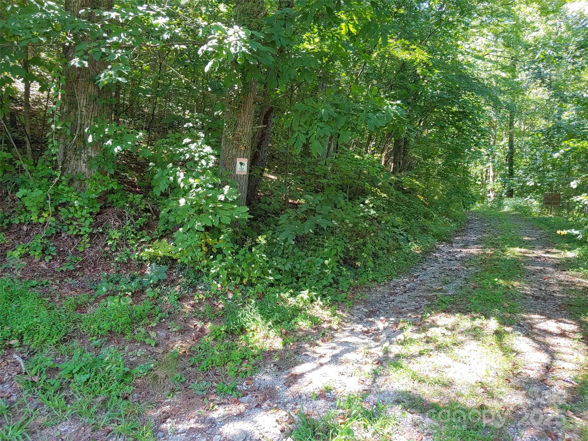 0000 Thomasville Lane Gerton NC 28735