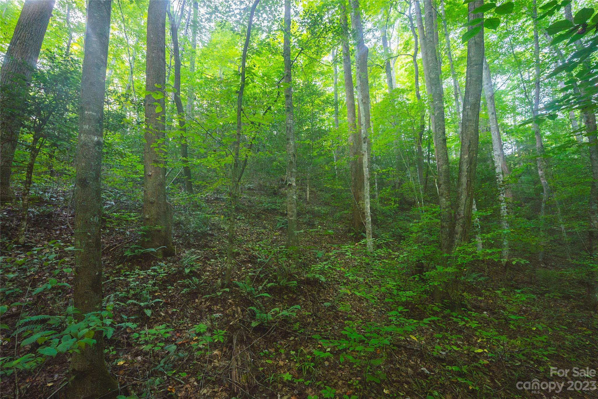 4157 Kirby Mountain Road Lenoir NC 28645