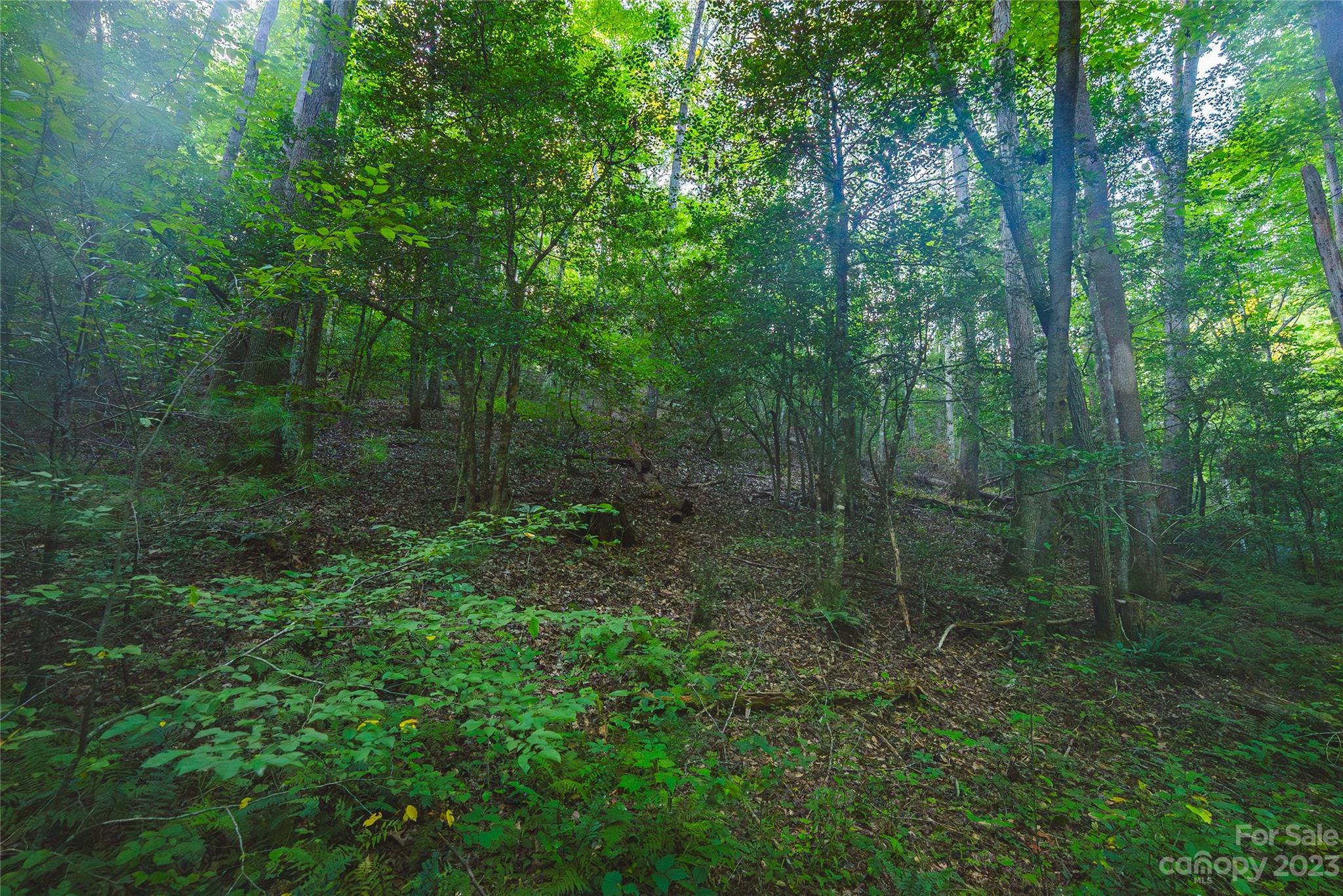4157 Kirby Mountain Road Lenoir NC 28645