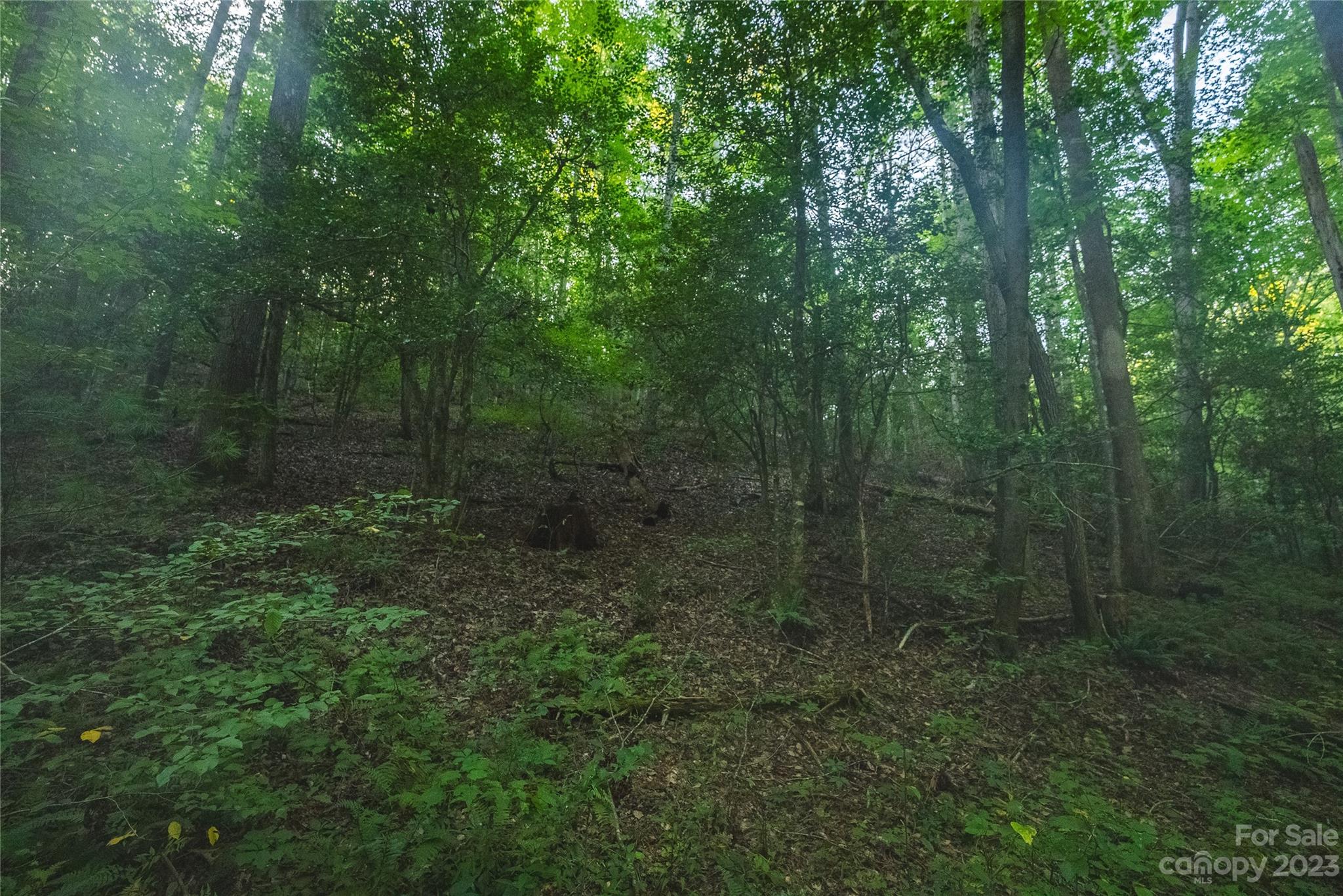 4157 Kirby Mountain Road Lenoir NC 28645