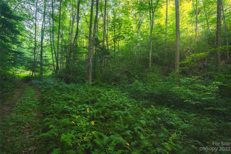 4157 Kirby Mountain Road Lenoir NC 28645