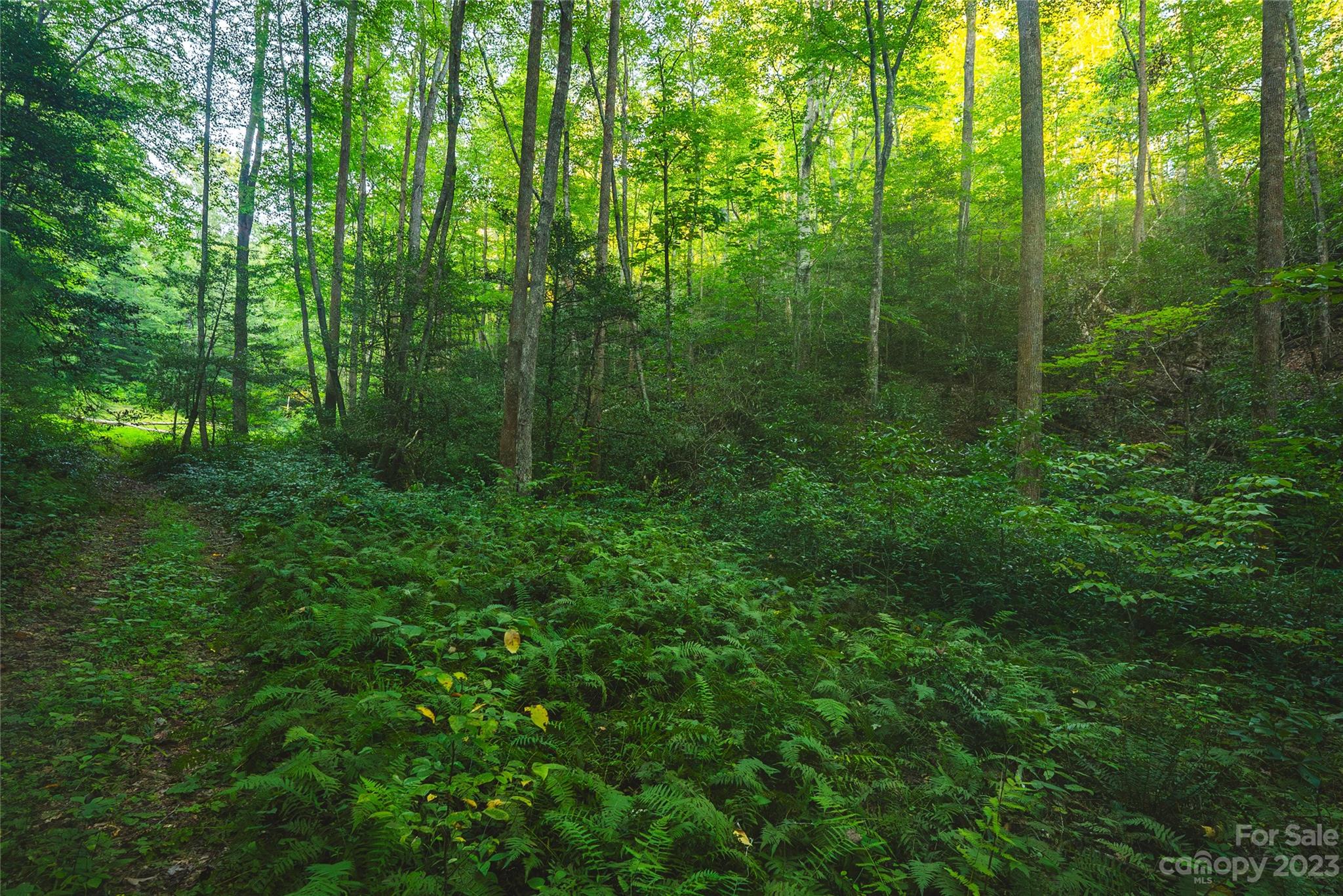 4157 Kirby Mountain Road Lenoir NC 28645