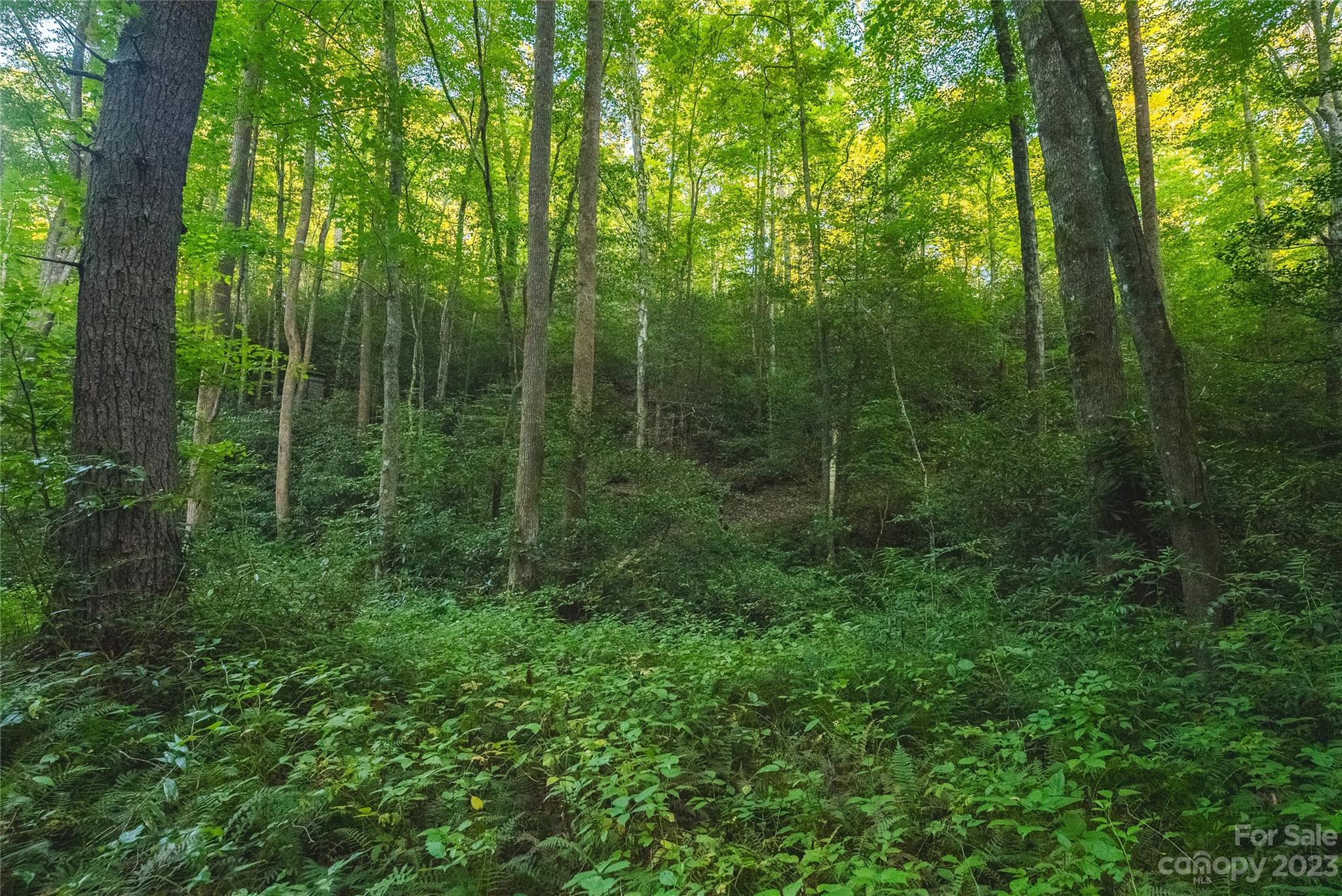 4157 Kirby Mountain Road Lenoir NC 28645