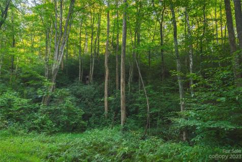 4157 Kirby Mountain Road Lenoir NC 28645
